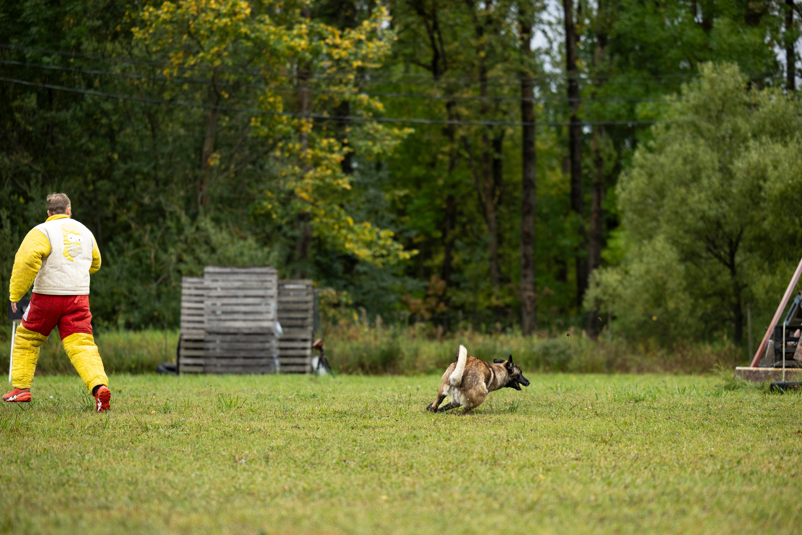 Испытания по Мондьорингу г. Пушкин. Фотограф-анималист Анна Маринич