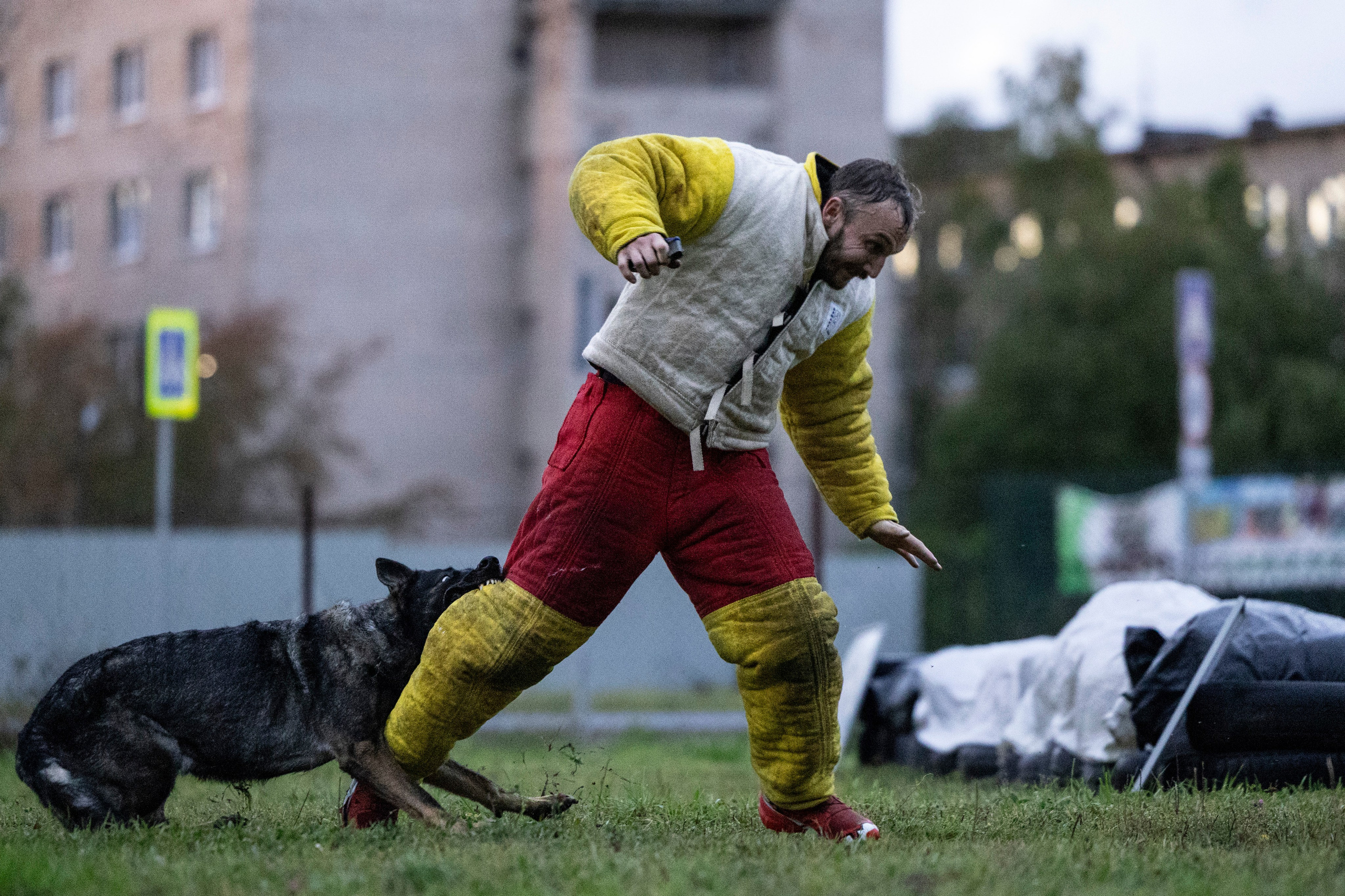 Испытания по Мондьорингу г. Пушкин. Фотограф-анималист Анна Маринич