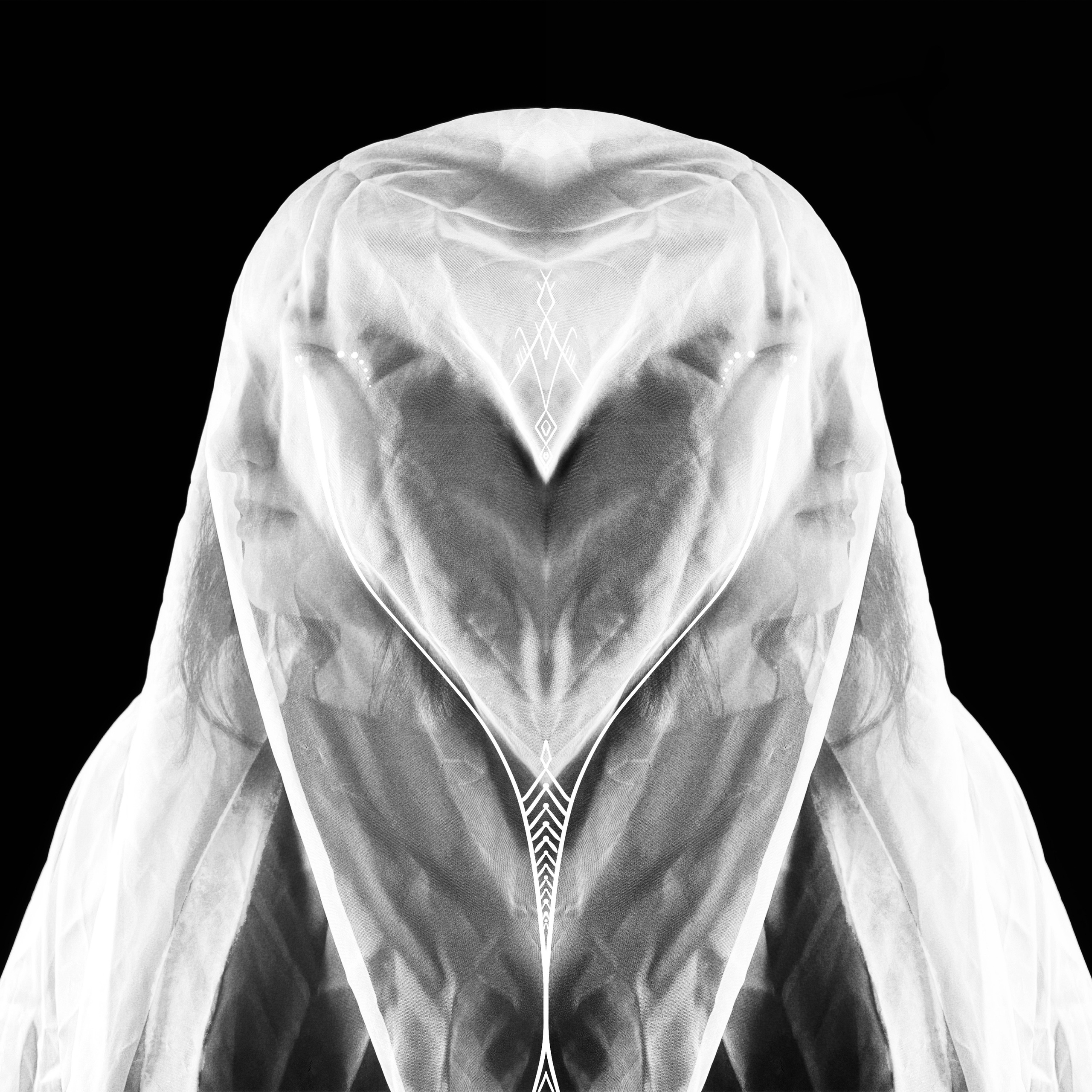 Lines 𓁿. Cari Clavijo | dancer | artist