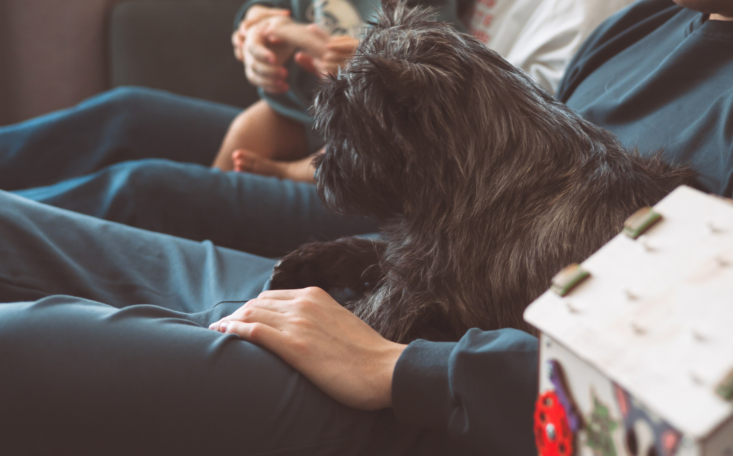 Домашняя съемка