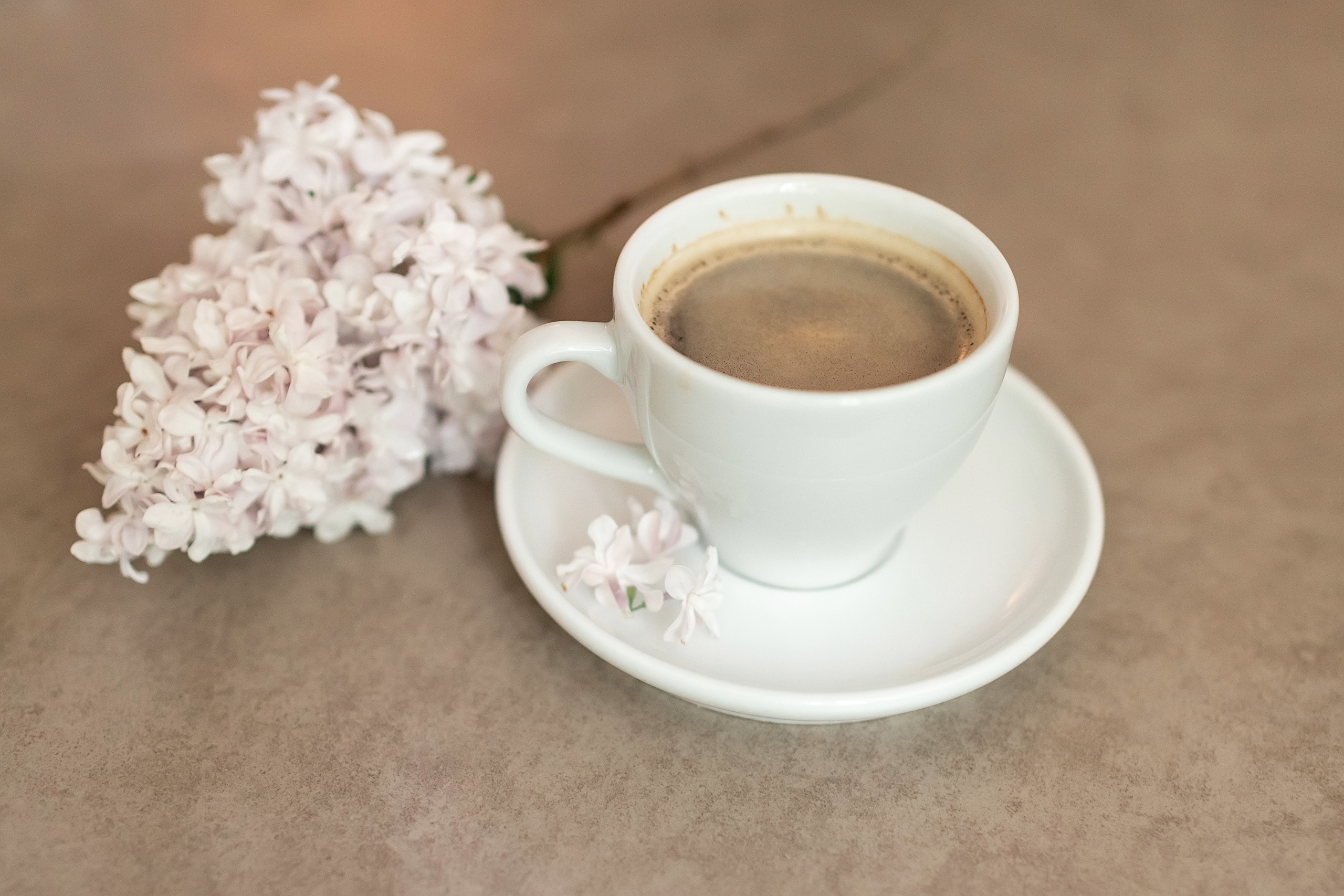 Контент. Фотограф Екатерина Кудрик. Москва