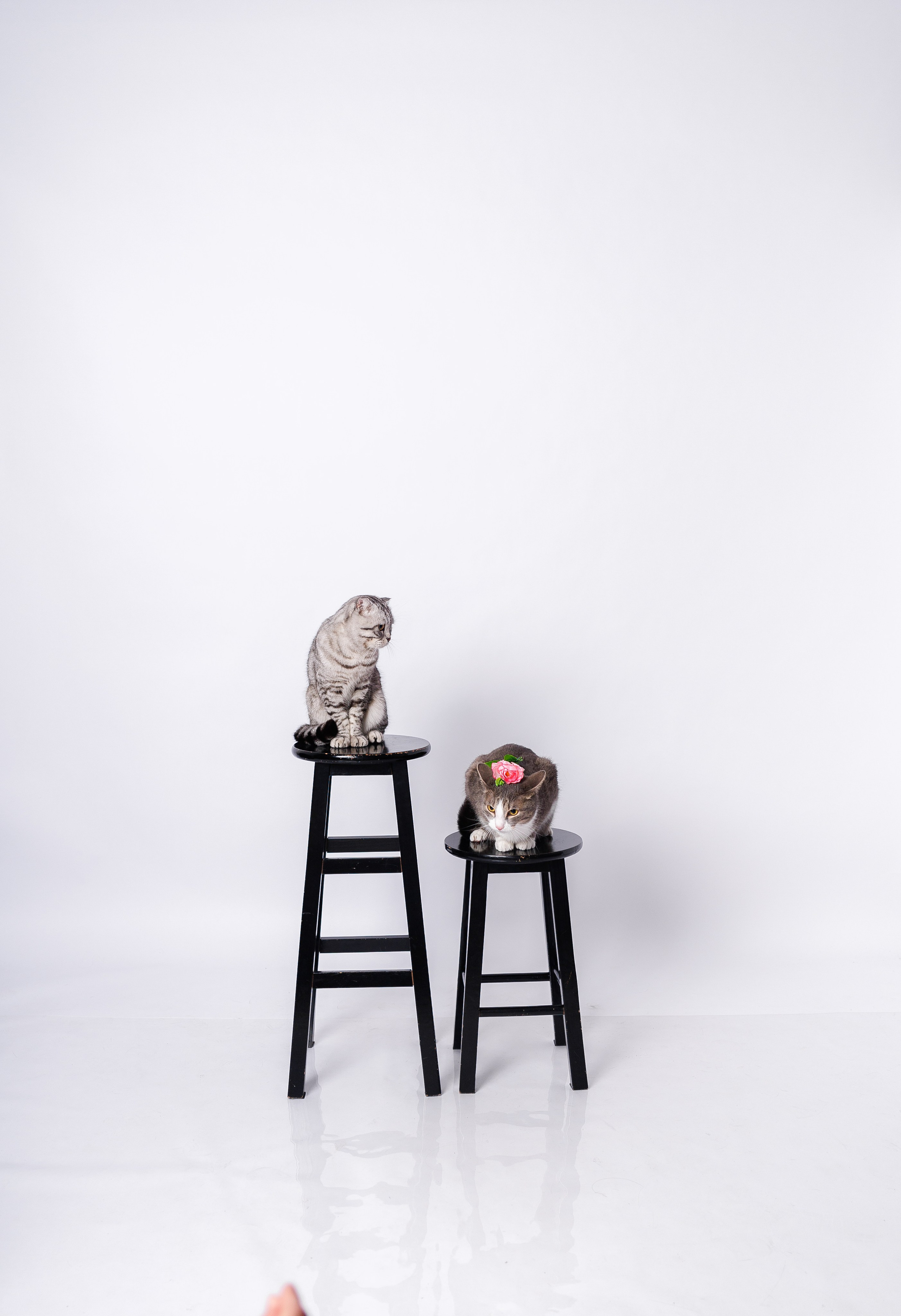 Портфолио. Услуги