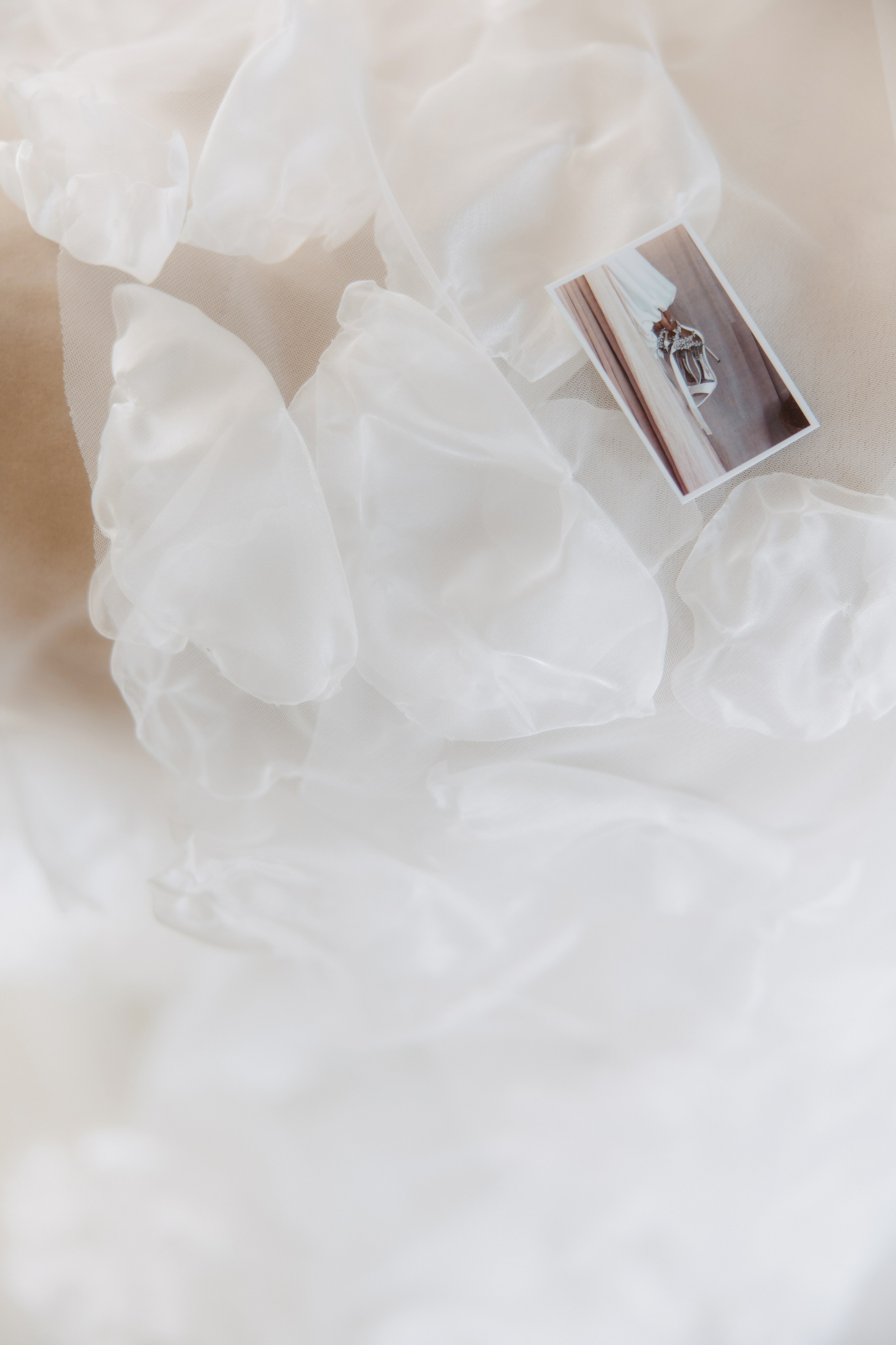 Николай + Полина. Александр Видякин Фотограф в Хакасии и Красноярском крае