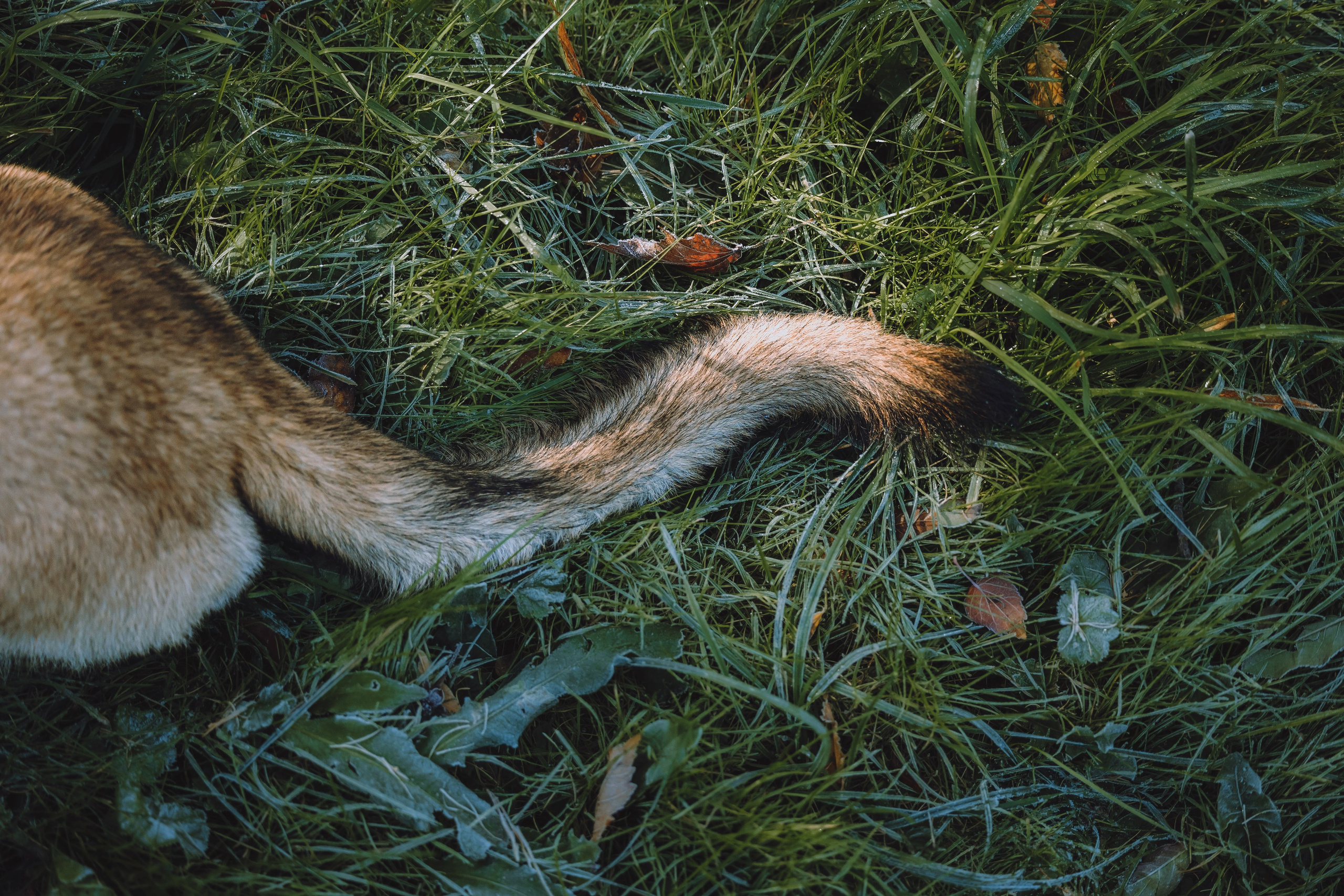 Никита и Ярик