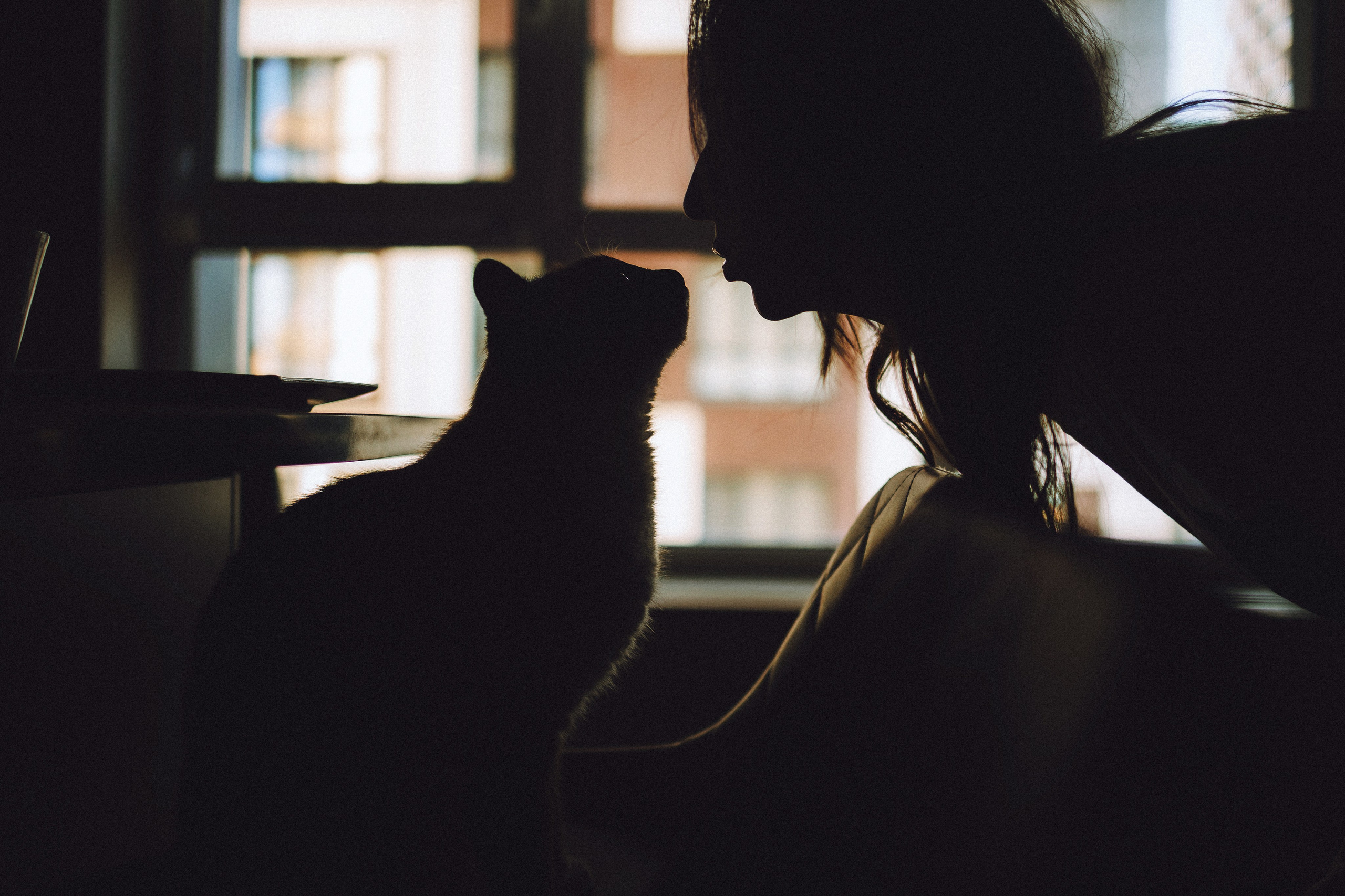 Наташа, Маруся и Зефир