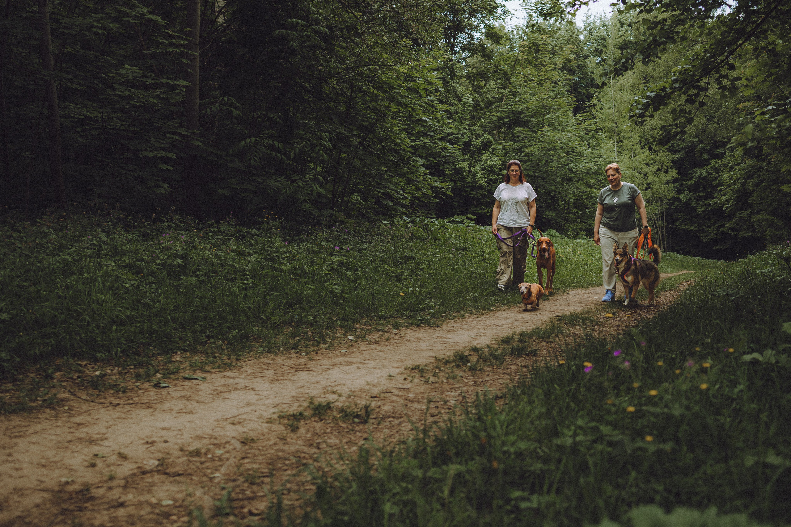 Груша, Данни, Фунтик и их семья