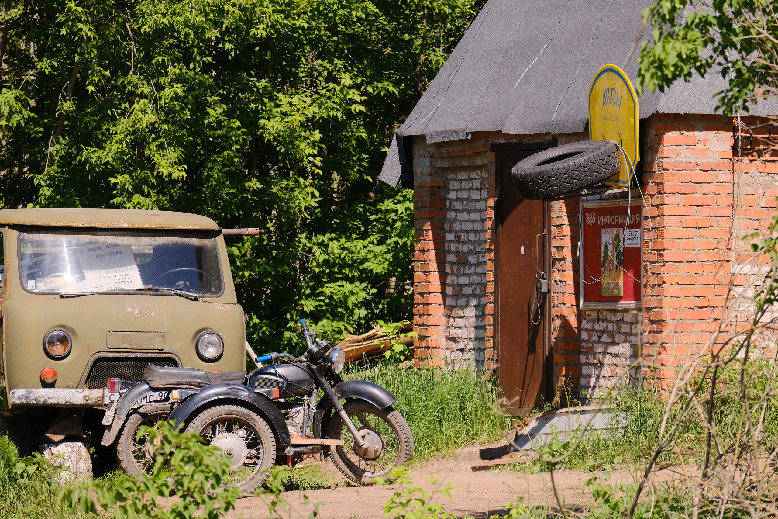 Приокский террасный государственный заповедник. Илья Варакин — фотограф в Москве. Съемки с душой и эстетикой пленки. Готовые фото за 3 дня!