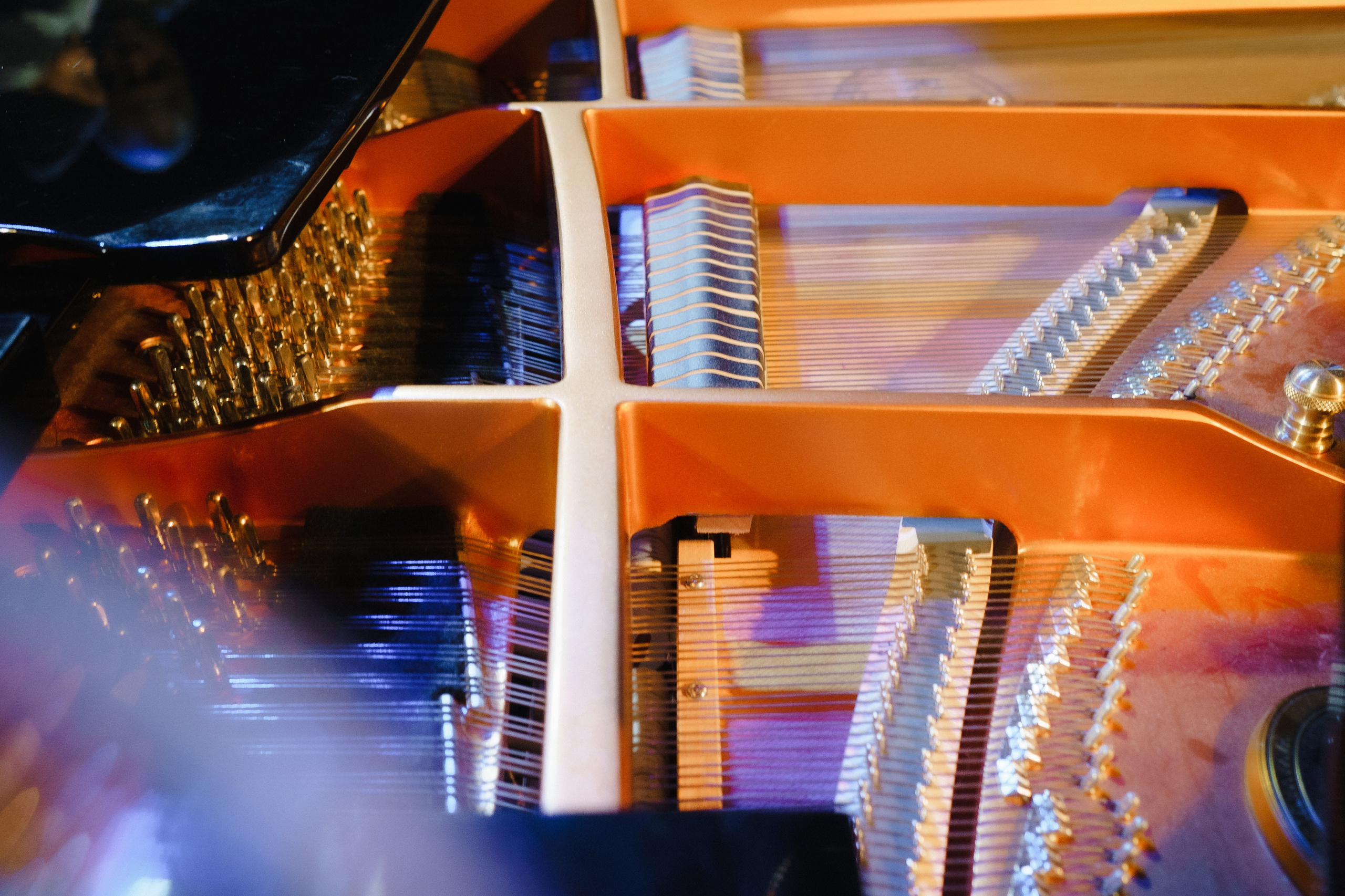 Филармония. Главная