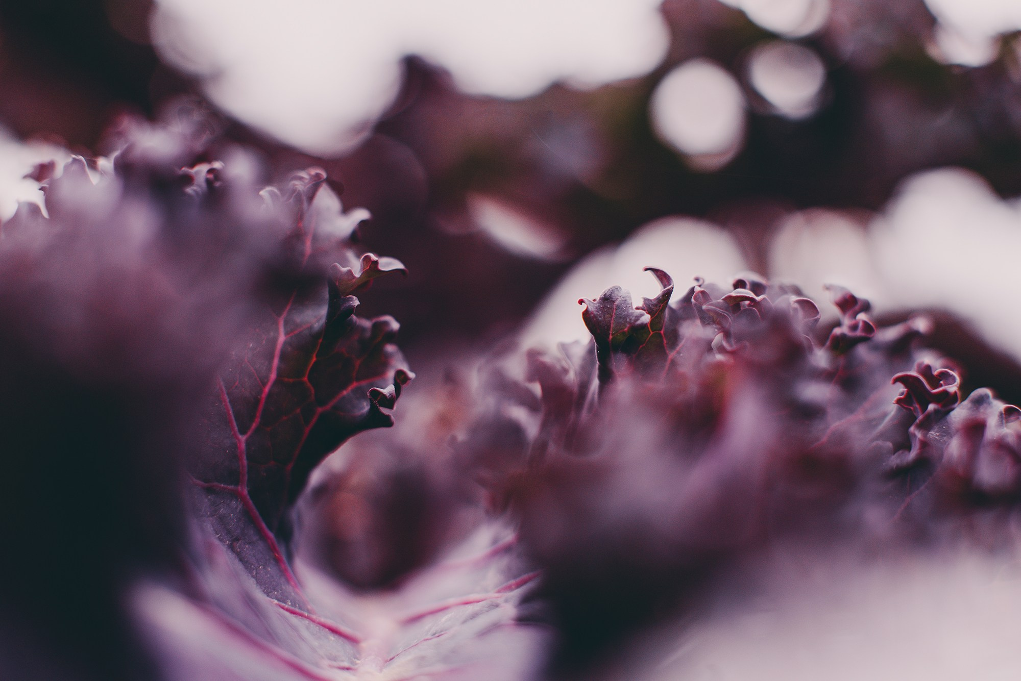 COMMERCIAL. Анна Ульянова