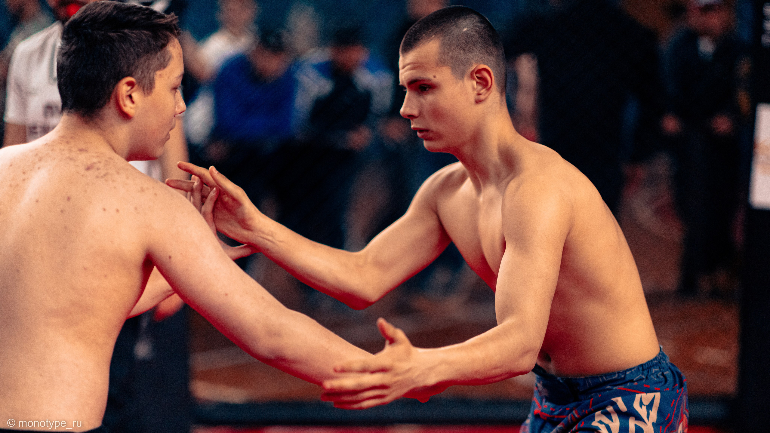 MMA. Бойцовский турнир