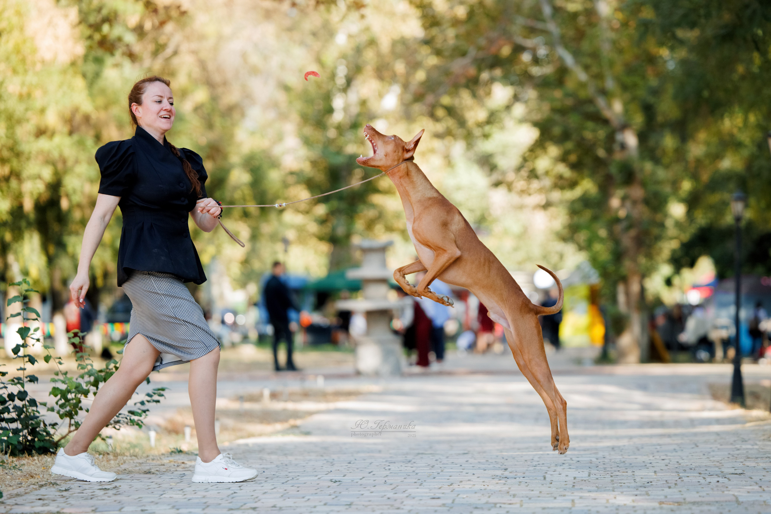 Ташкент 3хCACIB 3-5.10.2025. Фотограф-анималист Юлия Германика
