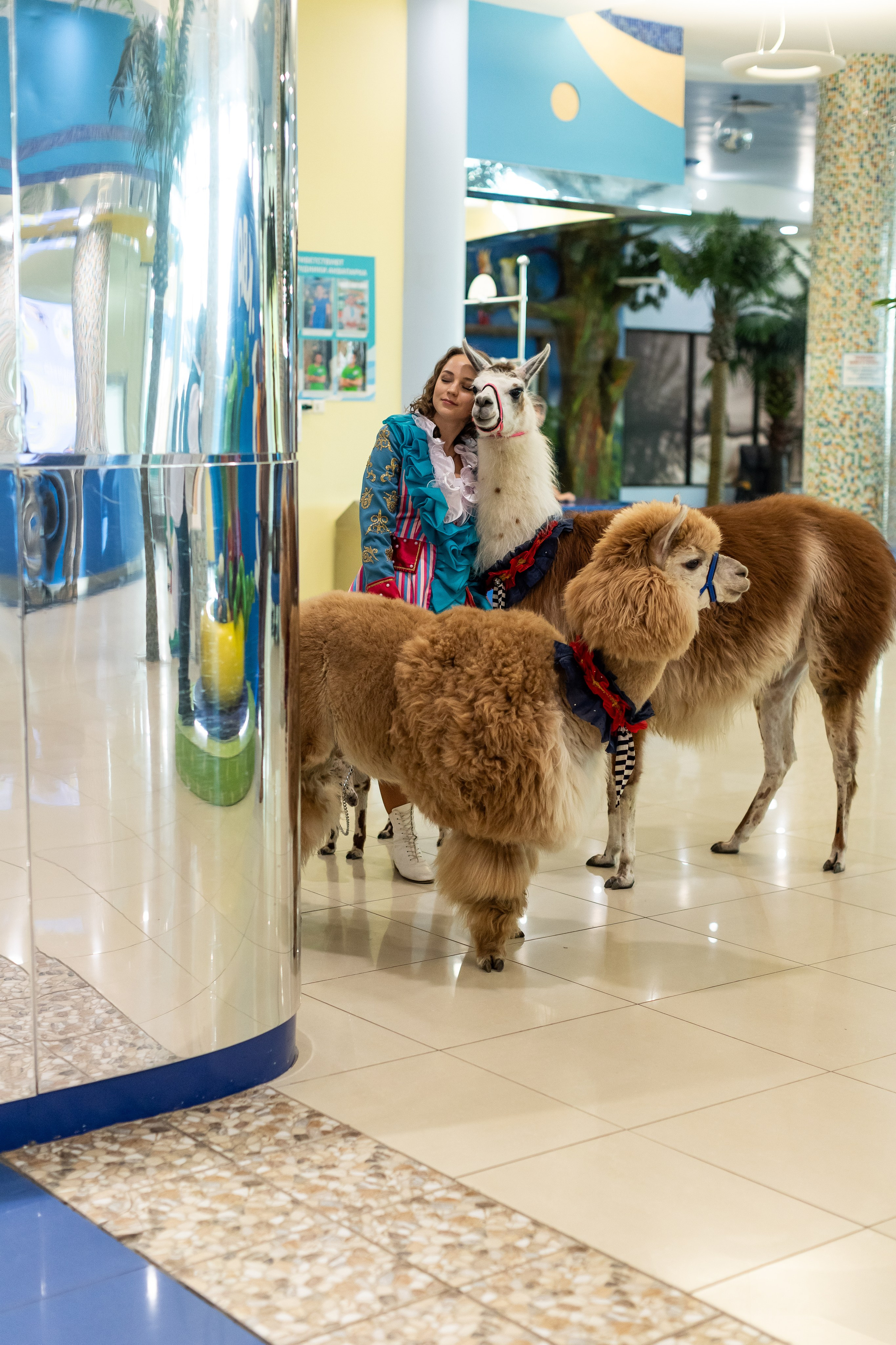 Торговый центр XL, праздник, выходные в ХЛ. Фото и видео Москва, Московский. Свадебный фотограф, видеограф, фотосессии, видеосъемка