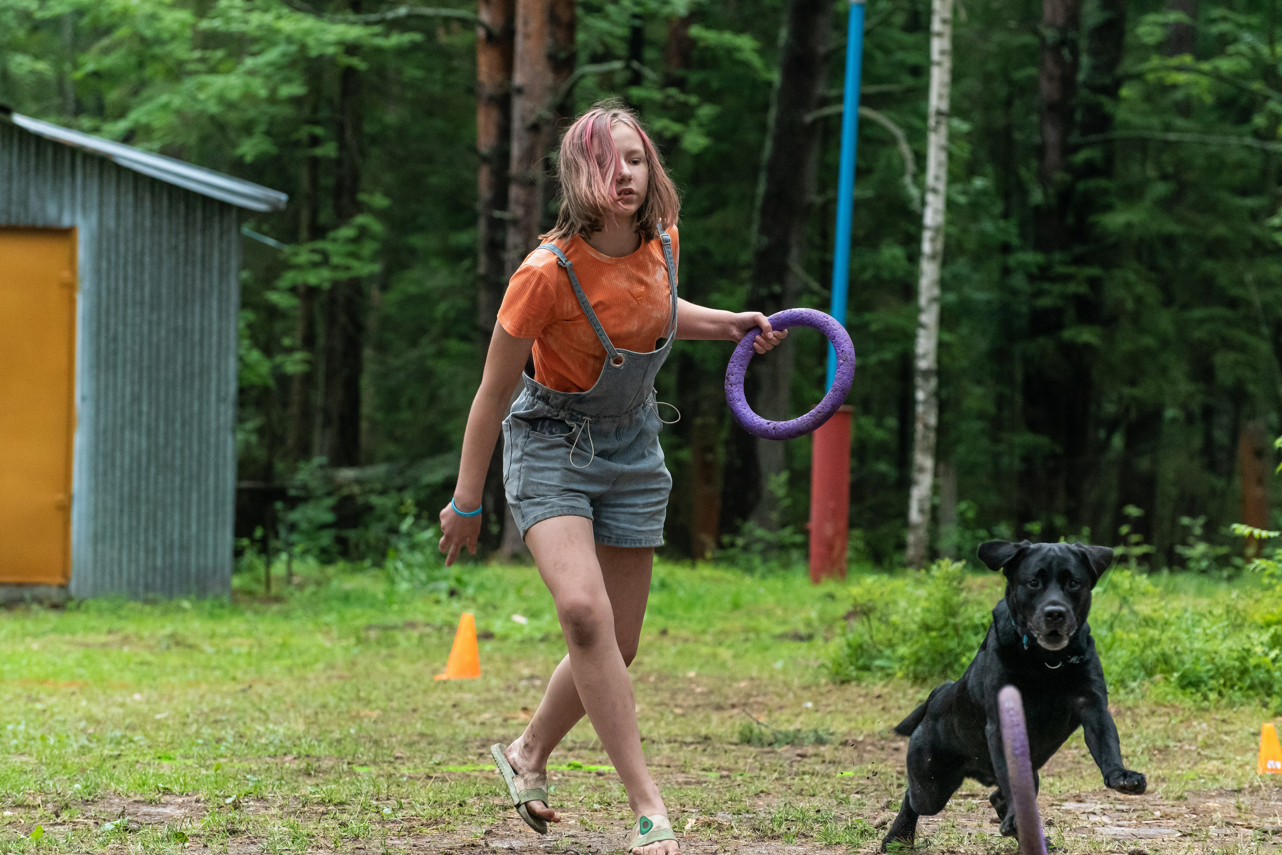 Хвостатые каникулы Детский кинологический лагерь. Фотограф Макс Огурцов в Нижнем Новгороде