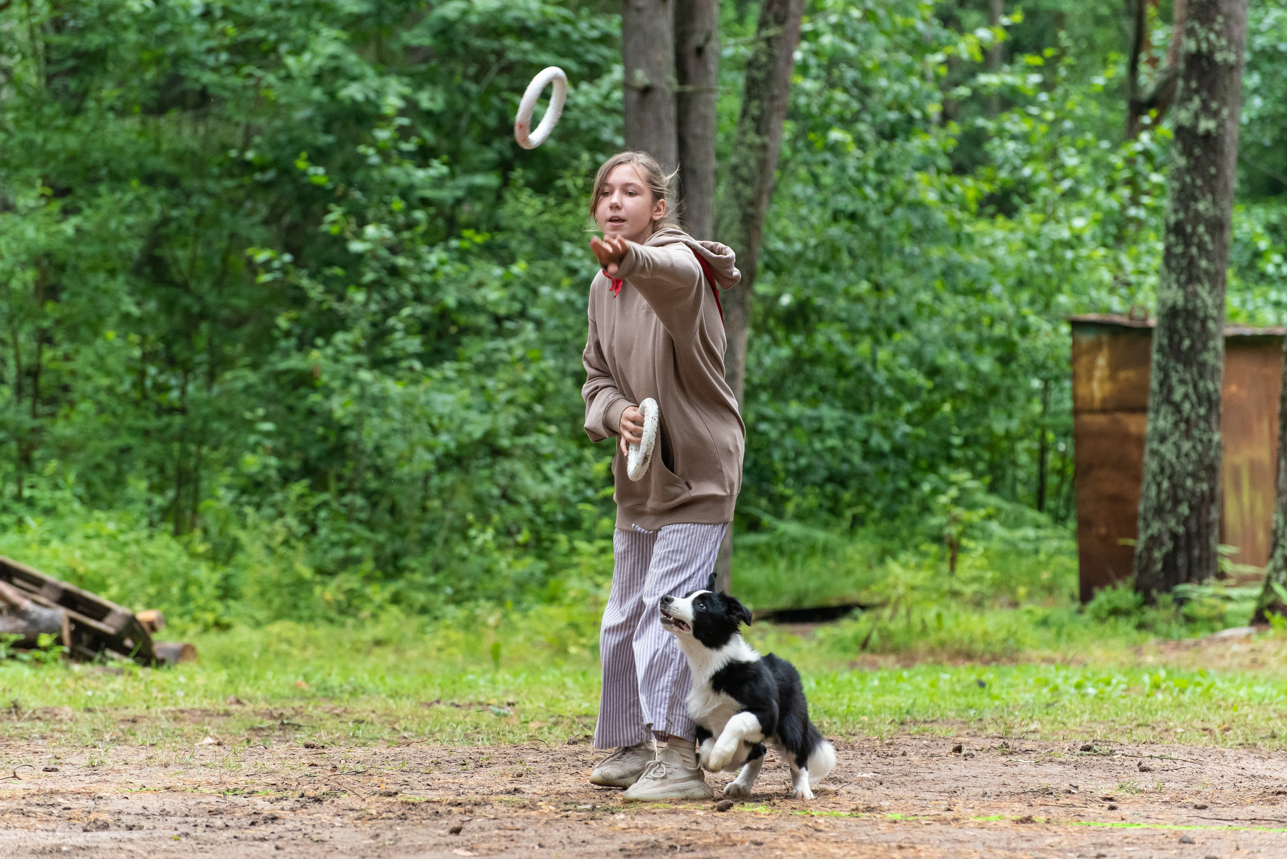 Хвостатые каникулы Детский кинологический лагерь. Фотограф Макс Огурцов в Нижнем Новгороде