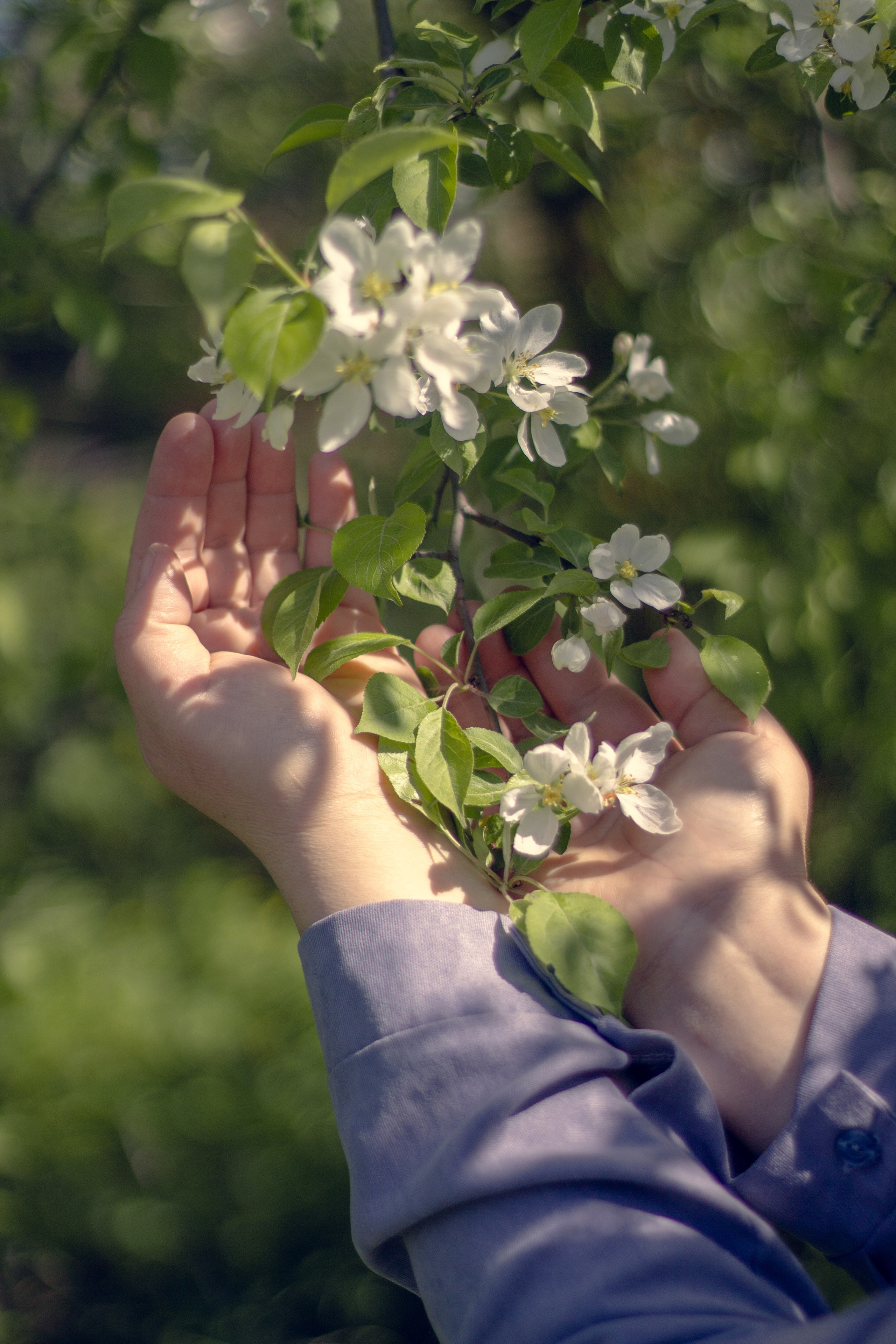 Портреты в весеннем цветении для Юлии. Свадебный и семейный фотограф Бологое Тверь — Ninel