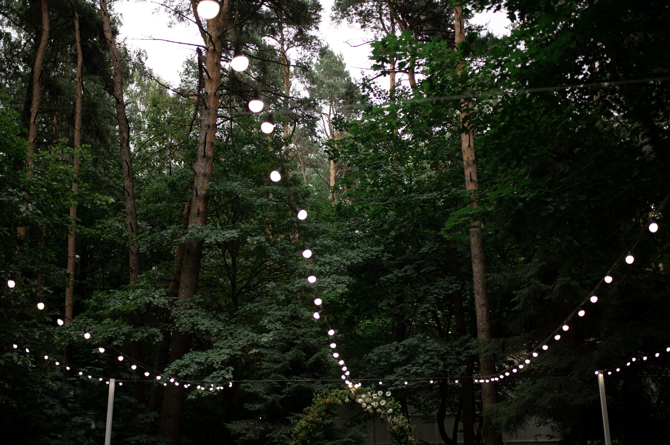 Коля & Вика. Оформление свадеб, декор свадеб Вера Маркова, Москва