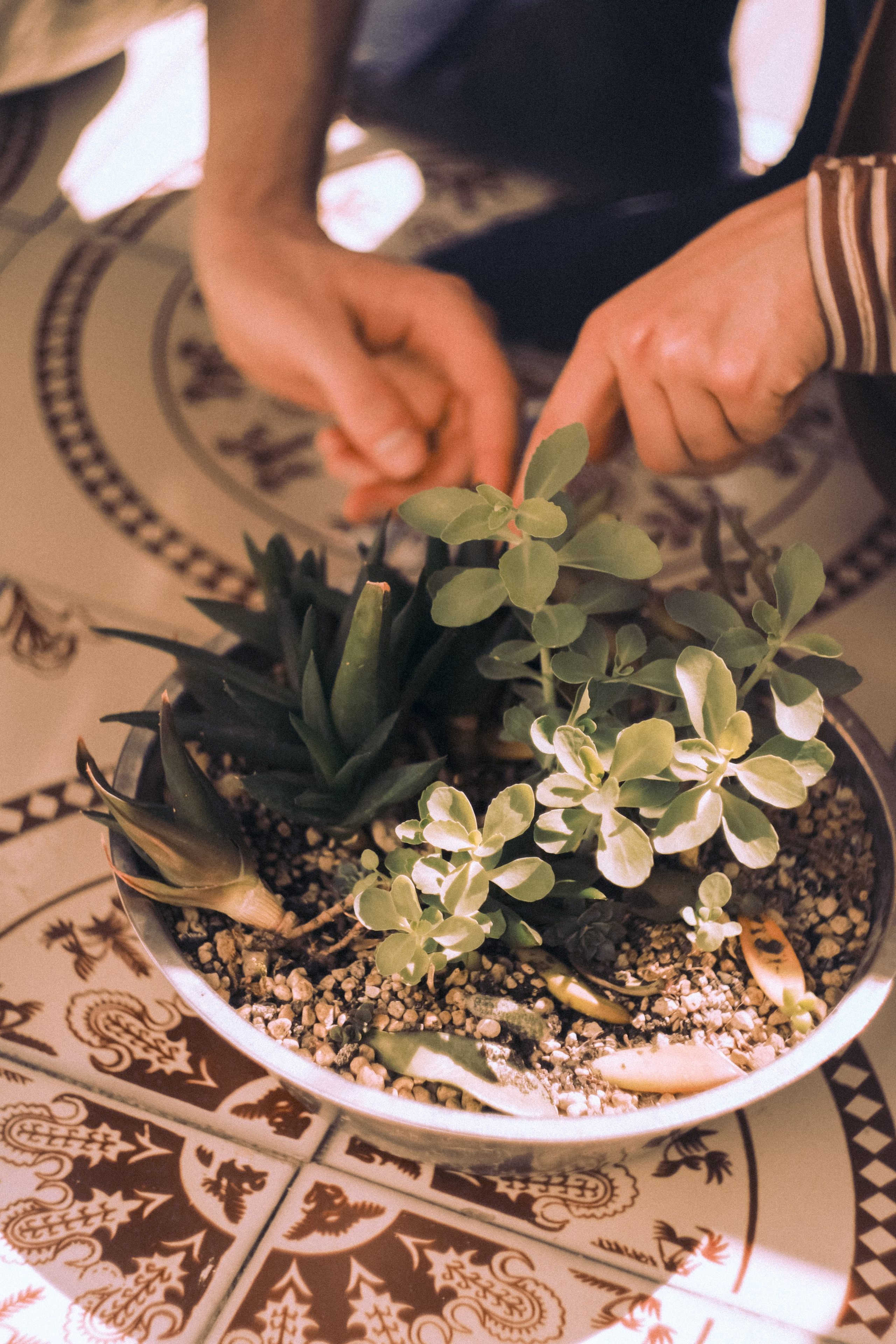 Городская и домашняя съемка в Тбилиси/ Алина и Гриша/ Или фотоблог из спального района. Photographer Tbilisi
