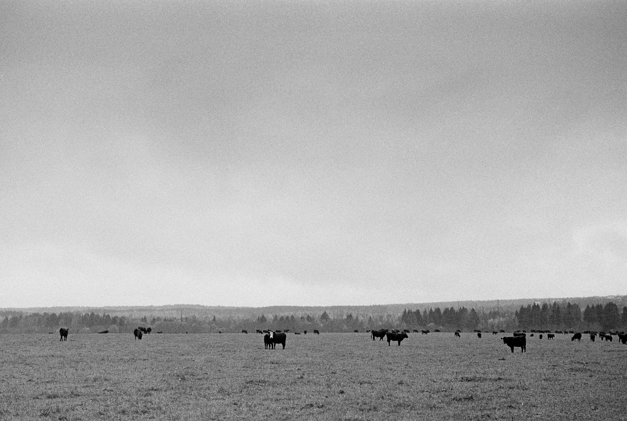 Кострома Blues. Документальный фотограф Алексей Мякишев, Москва