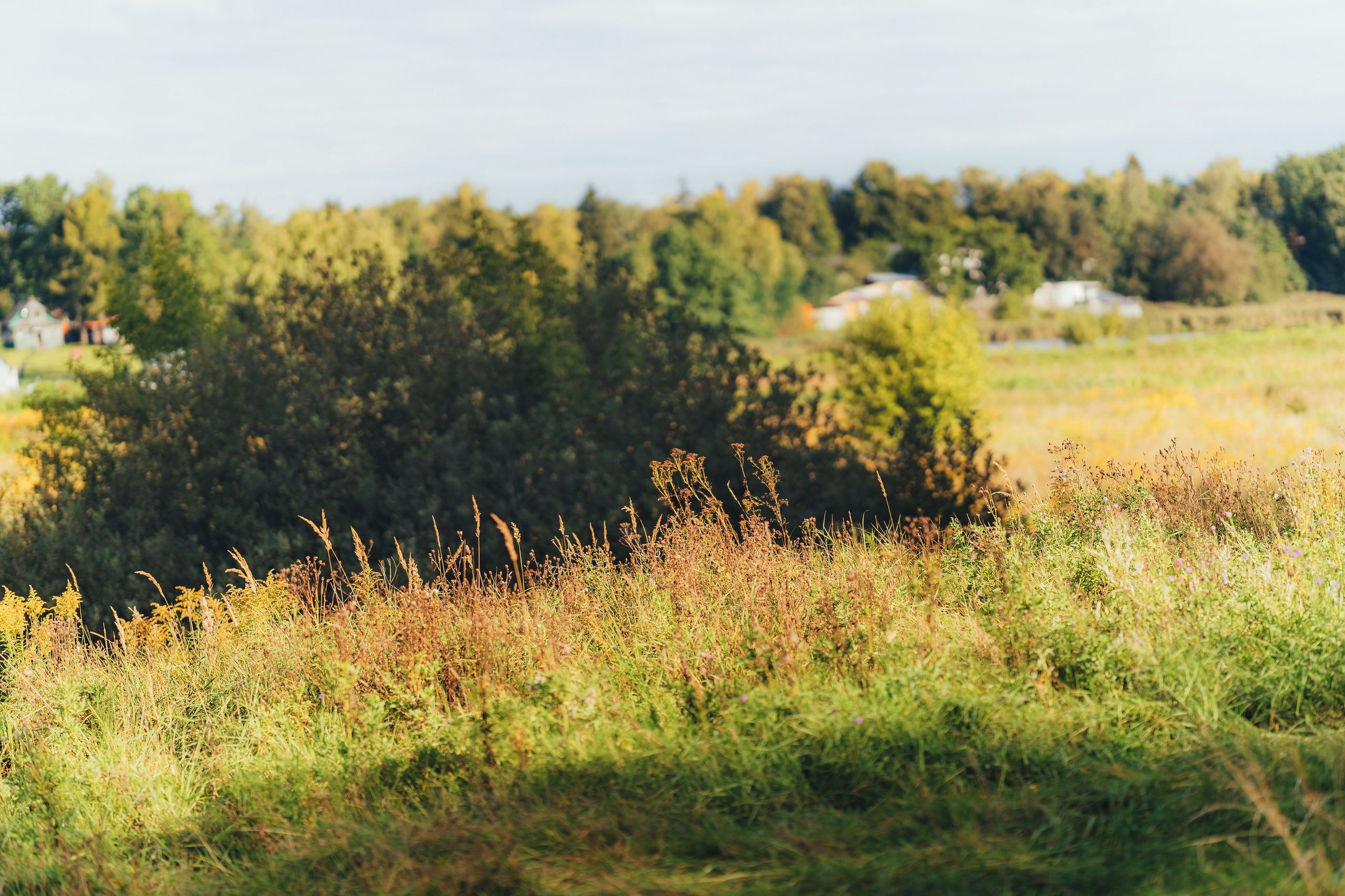 Татьяна, Щелково, побережье Клязьмы. Наталья Дукалова фотограф Щелково Королев Пушкино Москва Балашиха