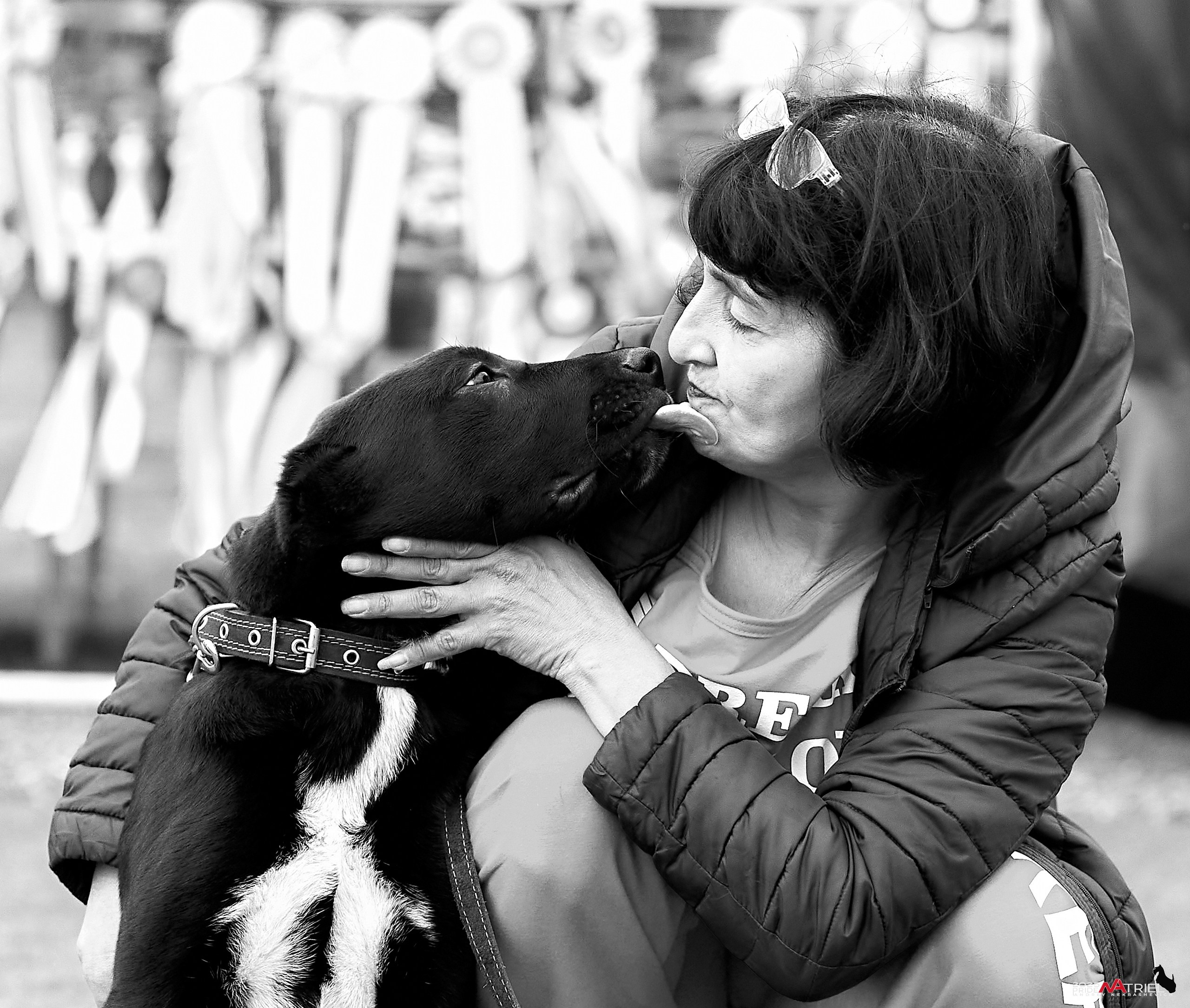 Репортаж с выставки собак