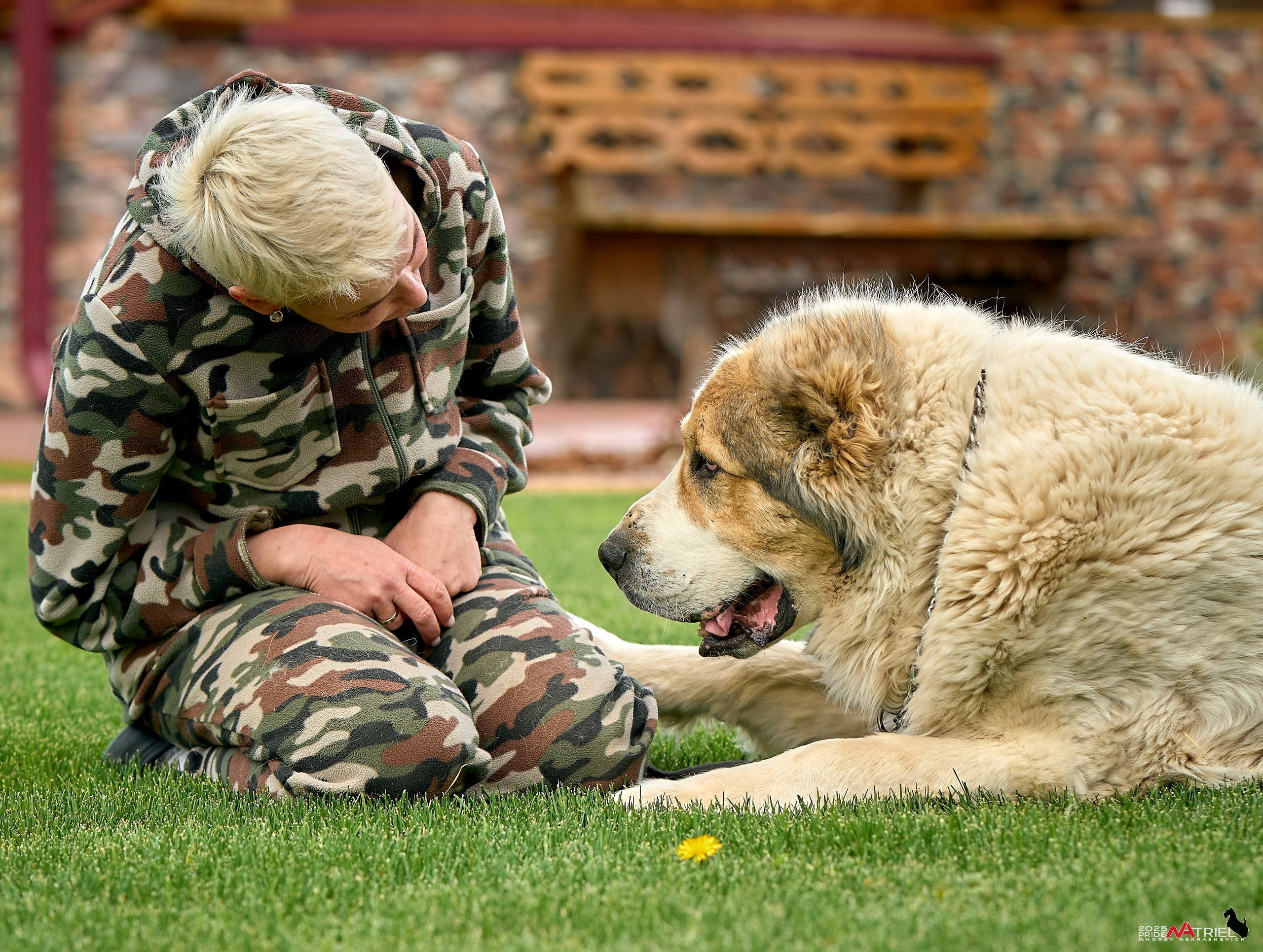 Съемка в питомнике