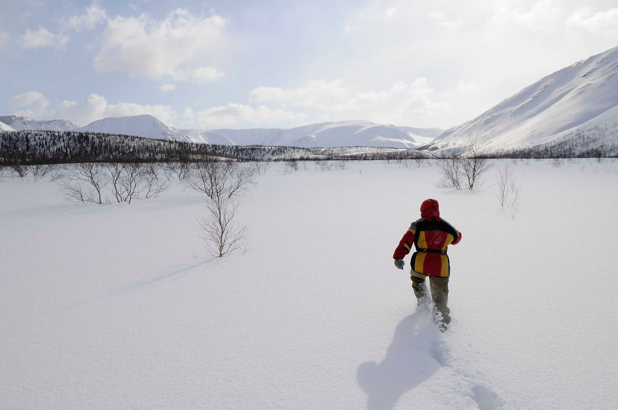 Фототур к северным оленям и саамам. 5–9 марта