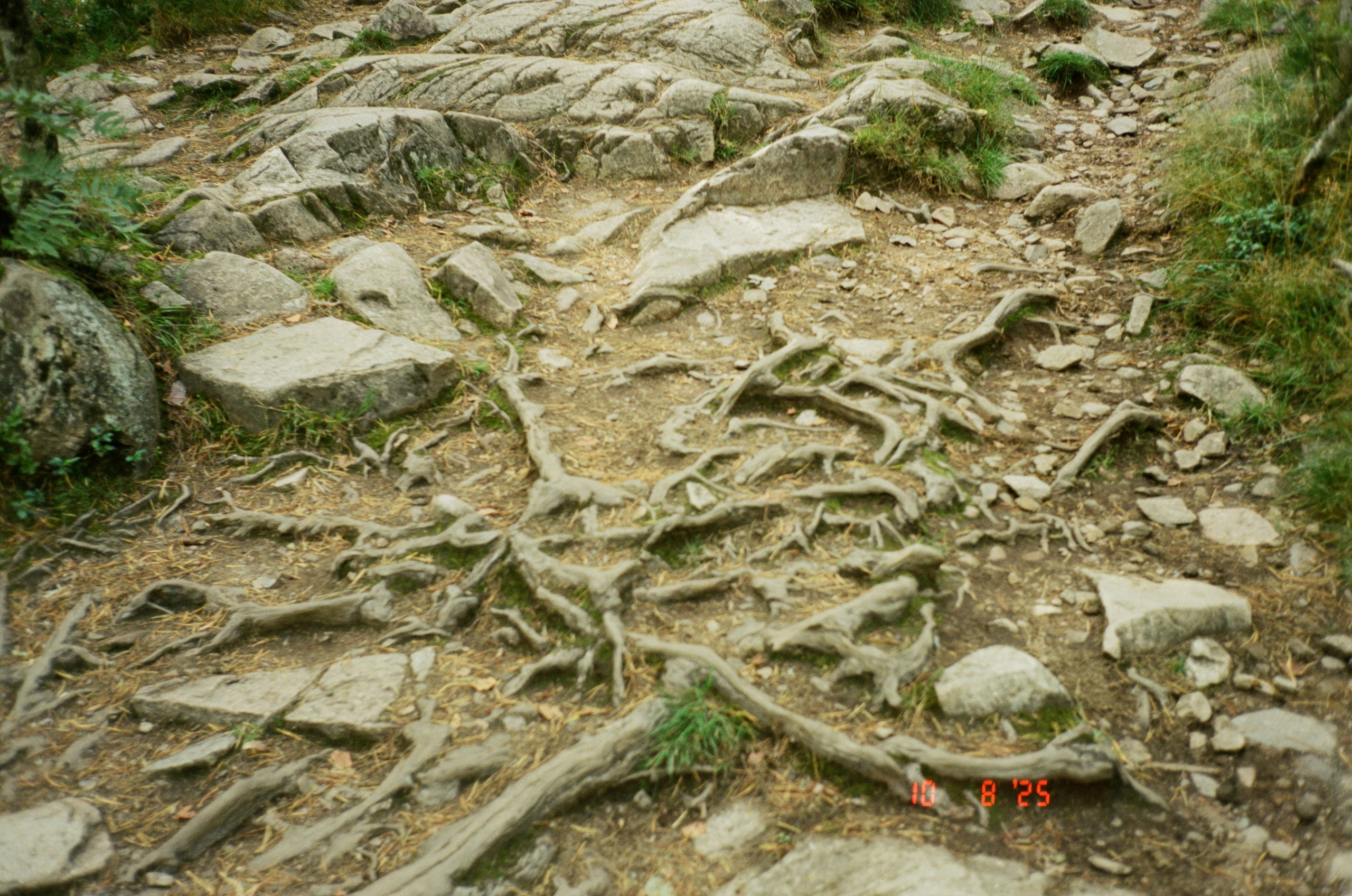 Oslo. Regina Platonova