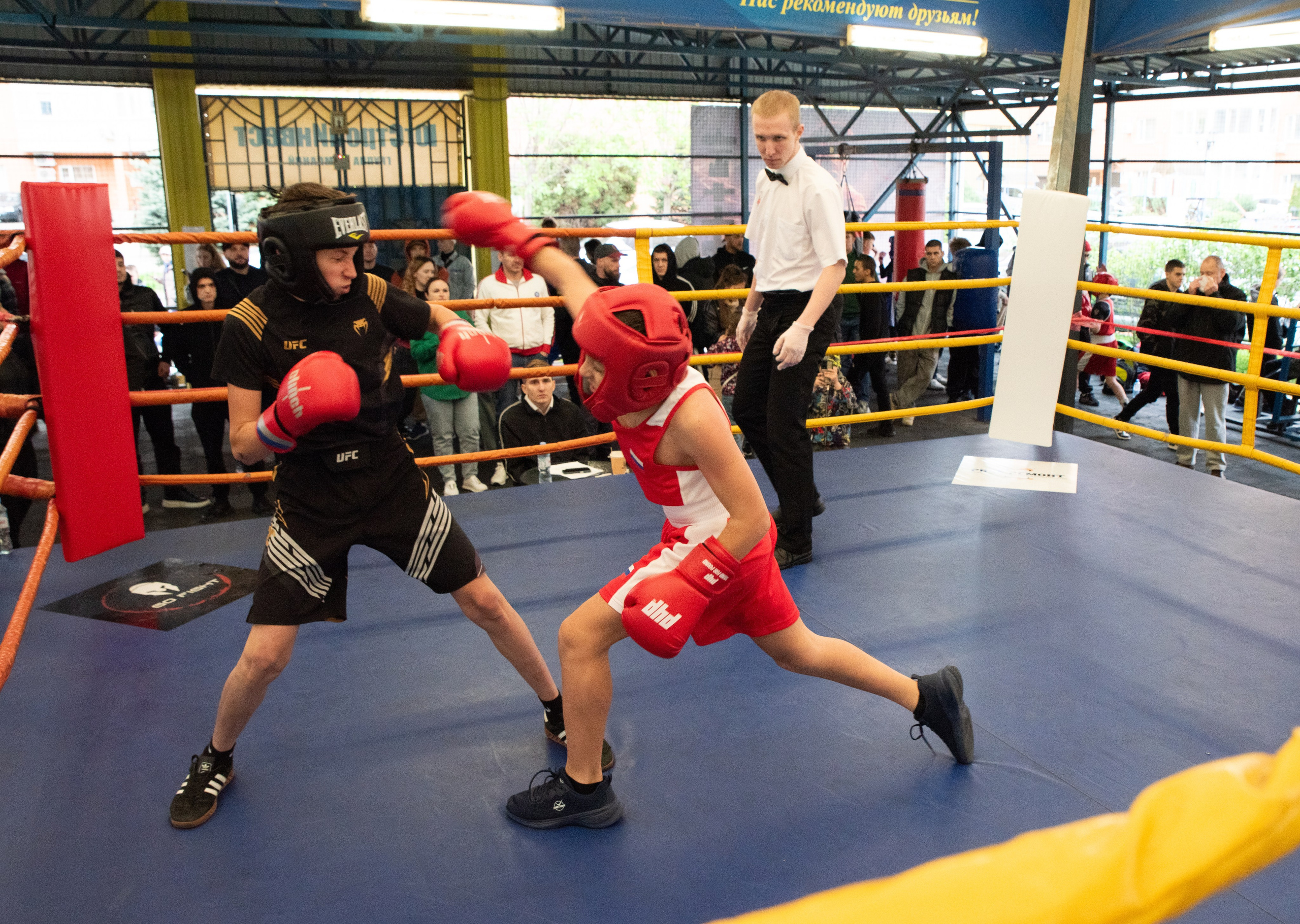 Соревнования GO FIGHT. Фотограф в Краснодаре Анна Карелина