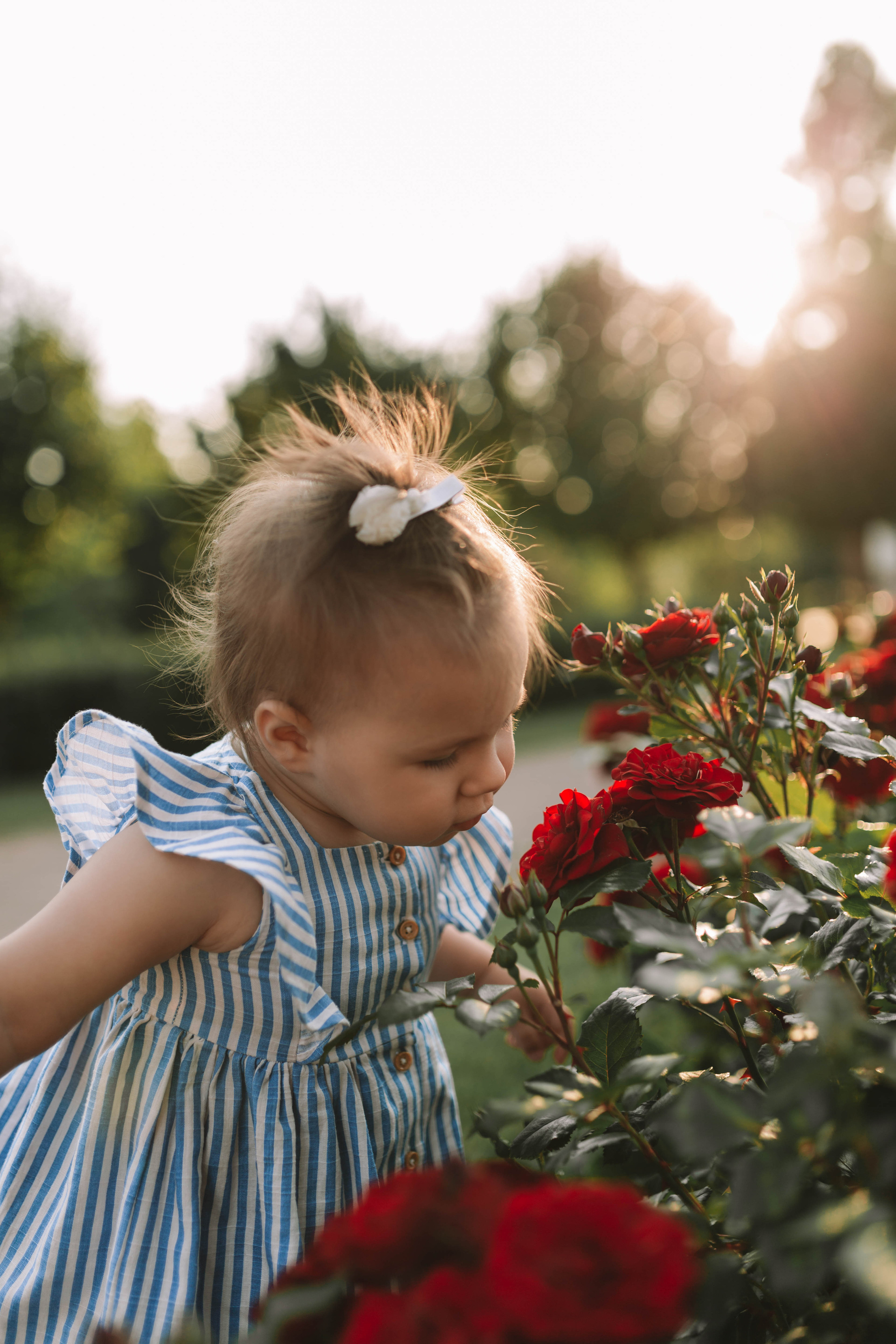 Лерочка (парк Царицыно). Фотограф новорожденных Серпухов, Протвино, Москва I Марина Бурмистрова
