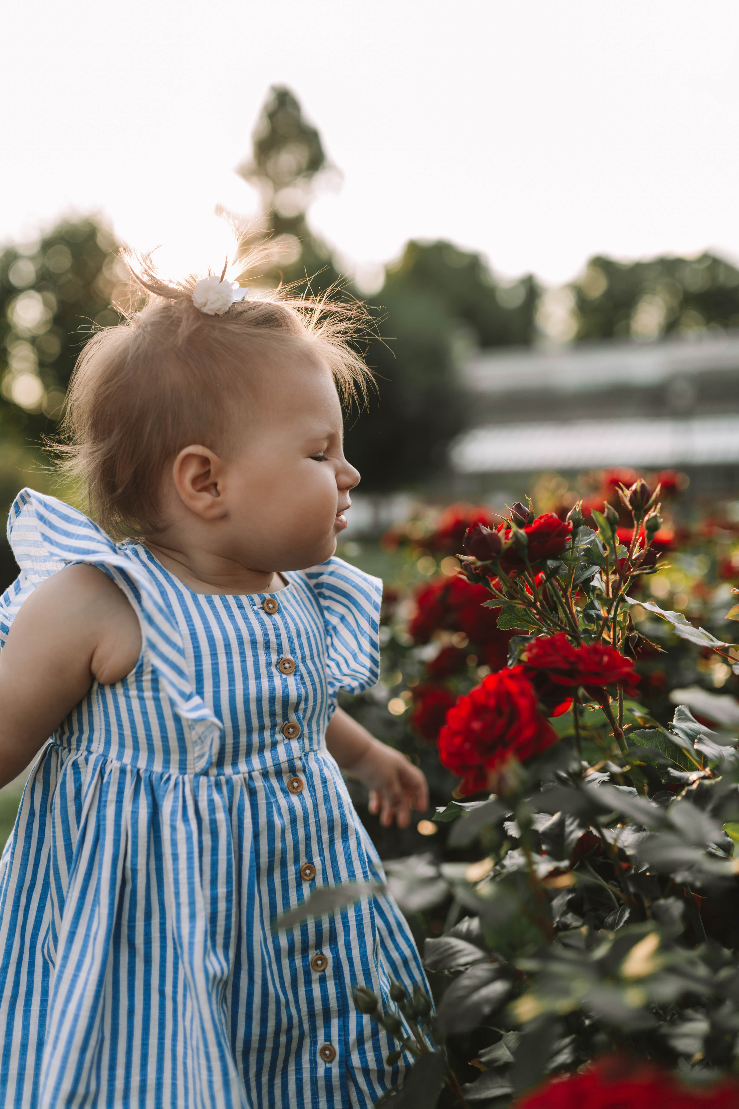 Лерочка (парк Царицыно). Фотограф новорожденных Серпухов, Протвино, Москва I Марина Бурмистрова