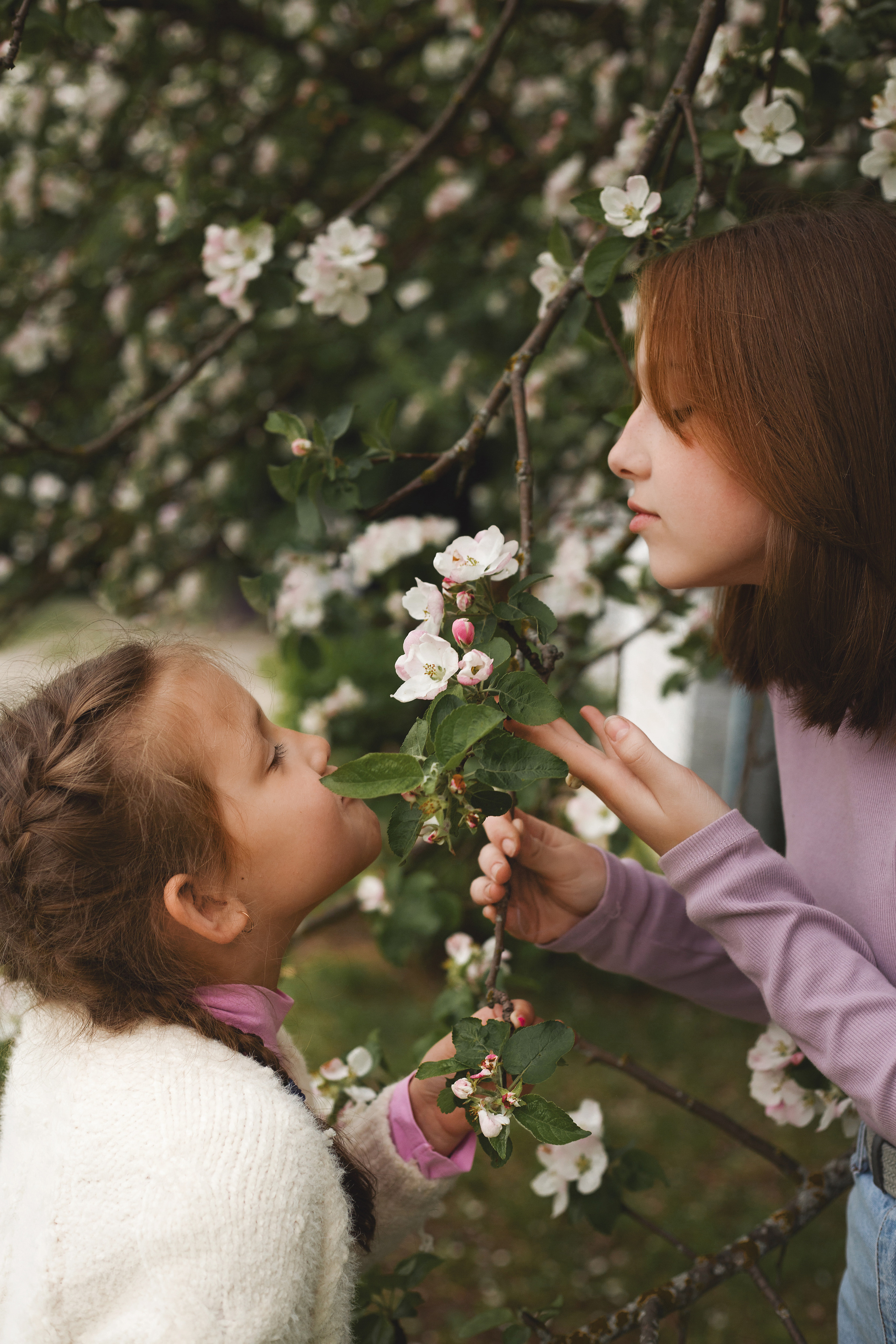 Фотосессия в яблонях. Фотограф новорожденных Серпухов, Протвино, Москва I Марина Бурмистрова