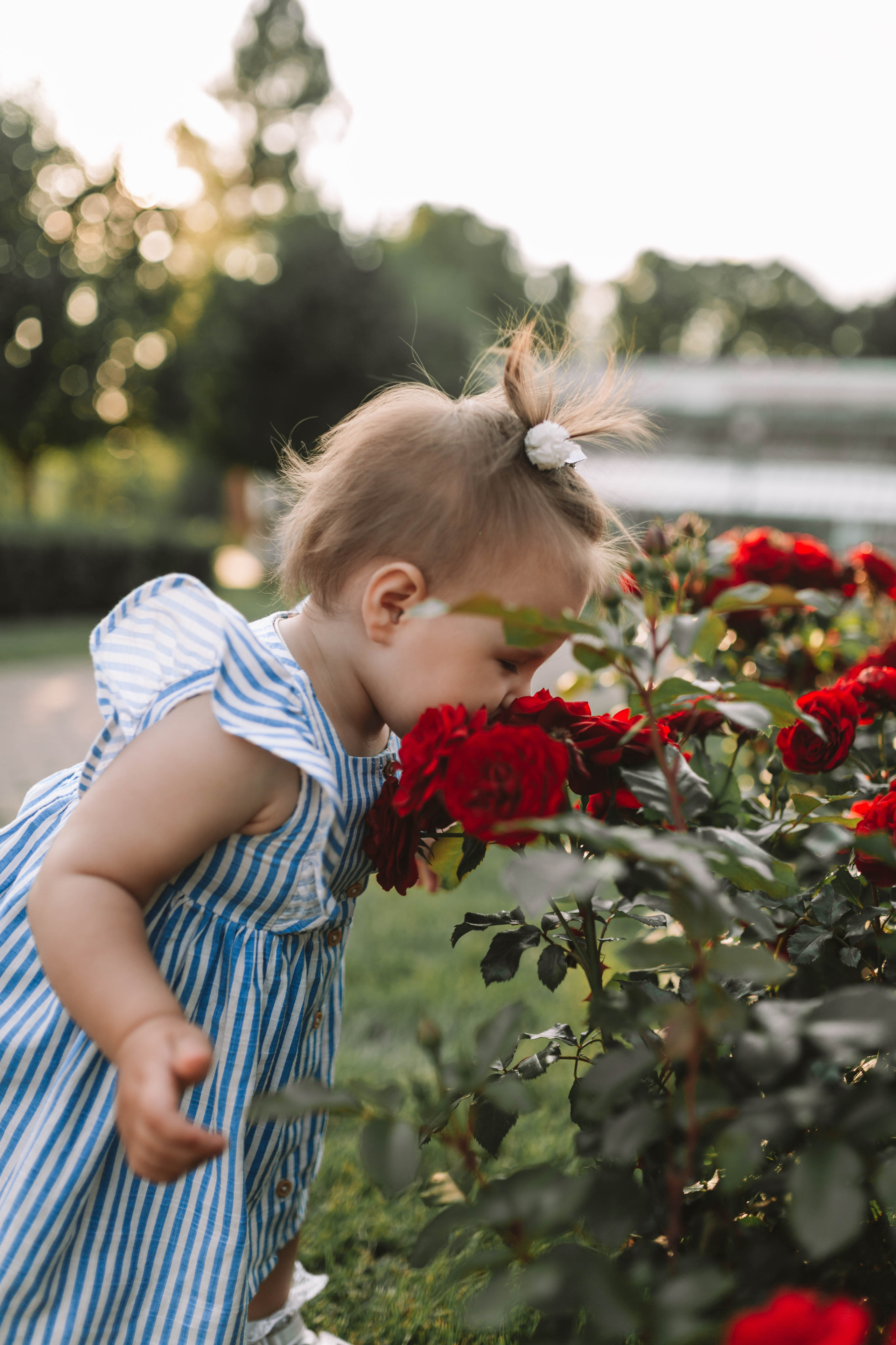 Лерочка (парк Царицыно). Фотограф новорожденных Серпухов, Протвино, Москва I Марина Бурмистрова
