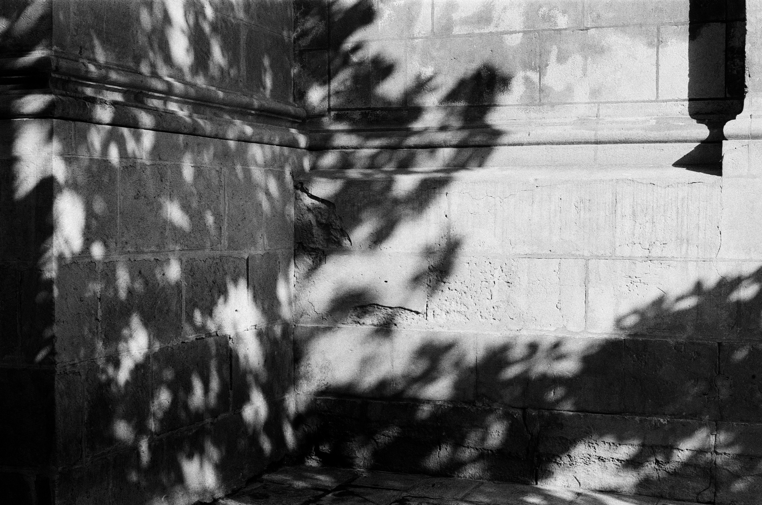 Spanish sahara // spain, granada. EVER EXPOSED