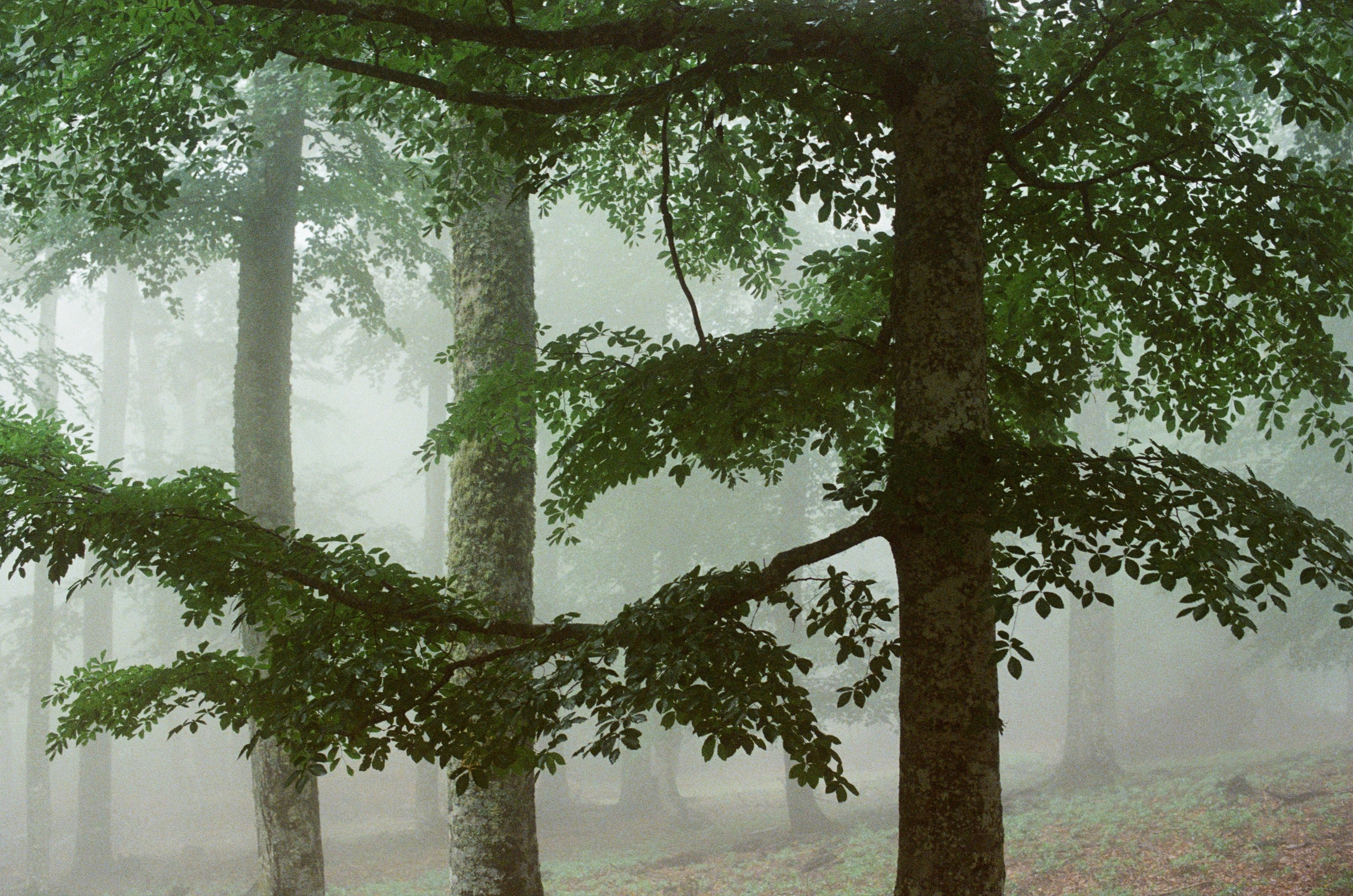 Dig it // ukraine, crimea III. EVER EXPOSED