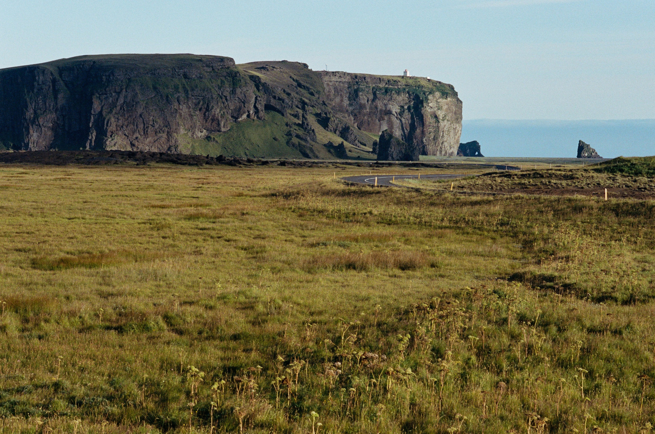 Vor i vaglaskogi // iceland, dyrhólaey. EVER EXPOSED