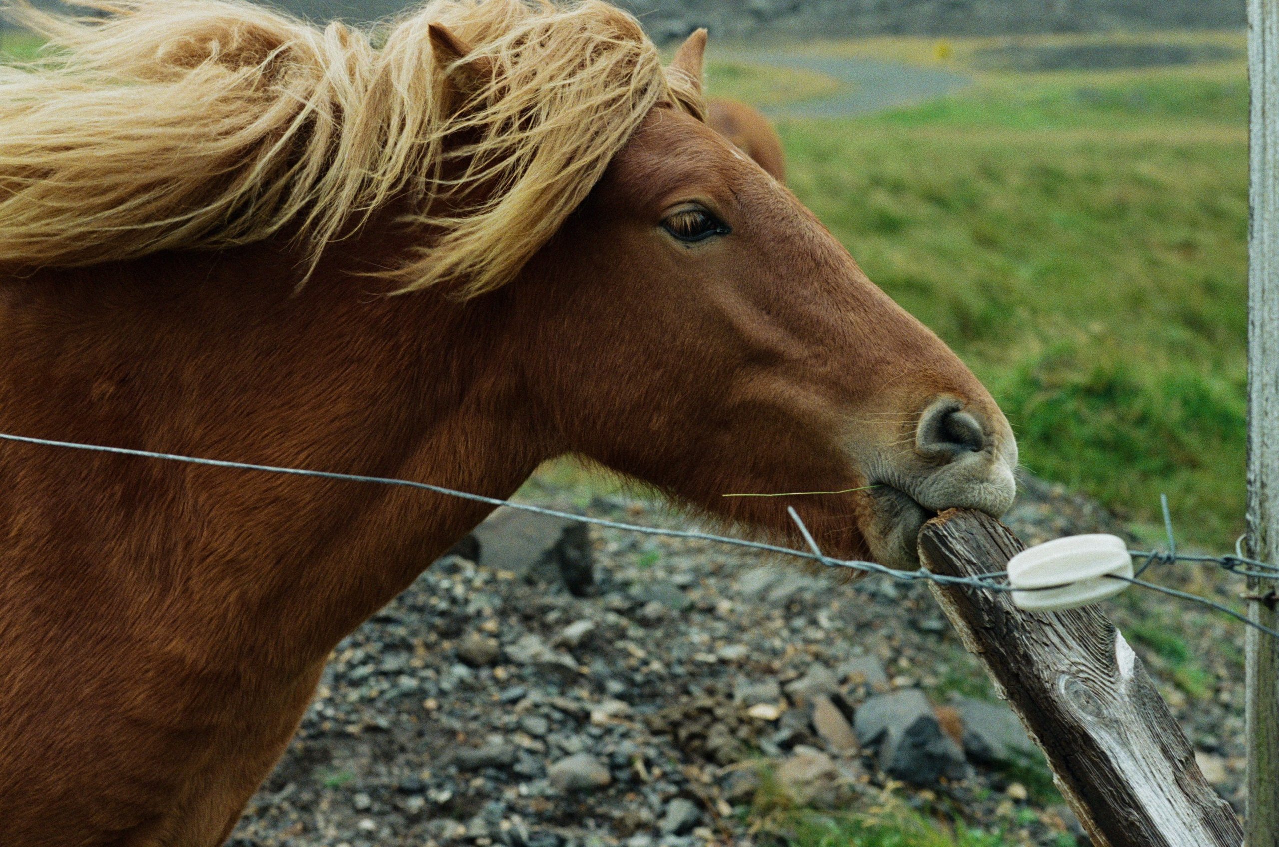 I of the storm // iceland, stokksnes. EVER EXPOSED
