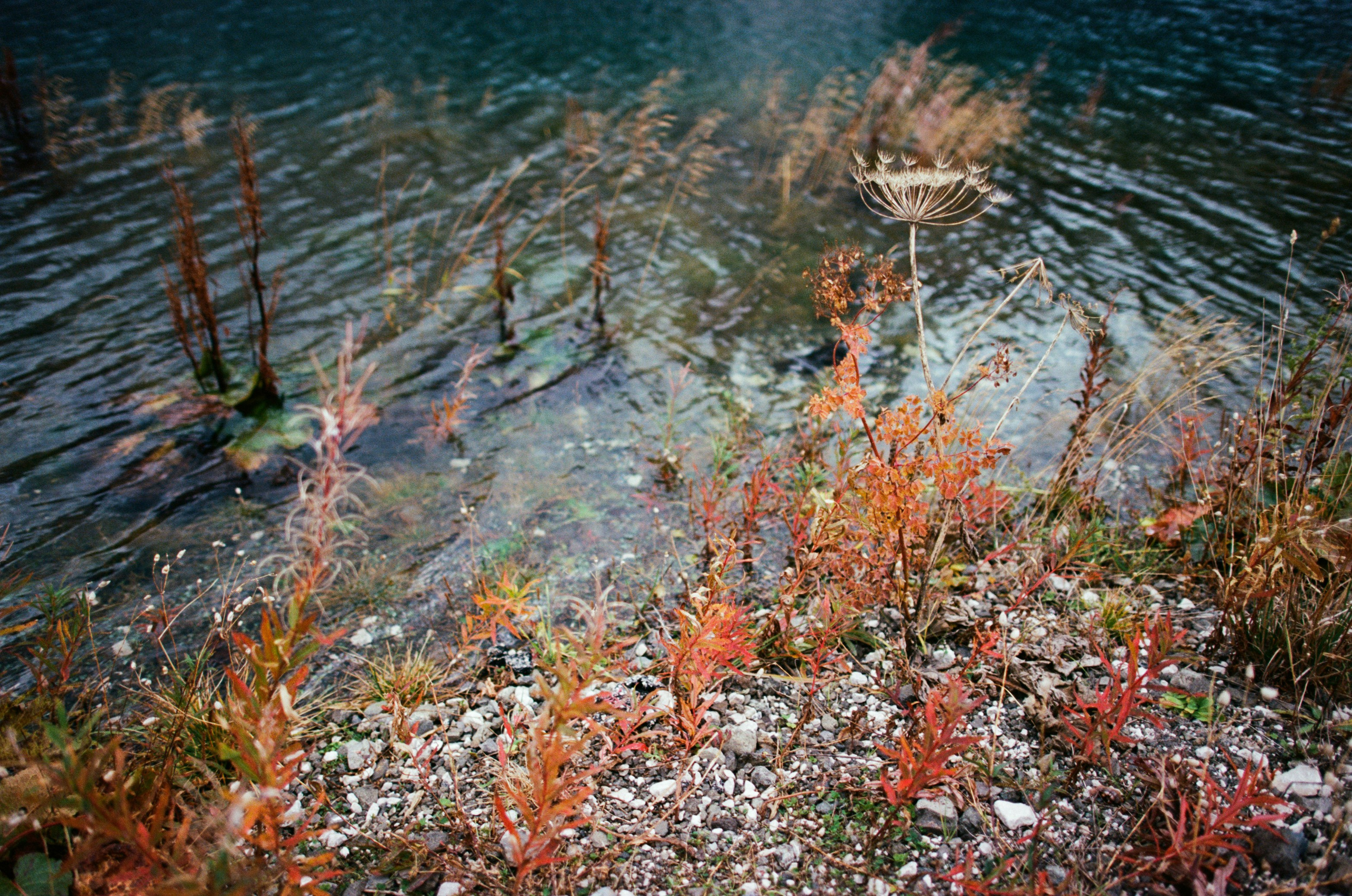 Fear for nobody // italy, dolomites. EVER EXPOSED