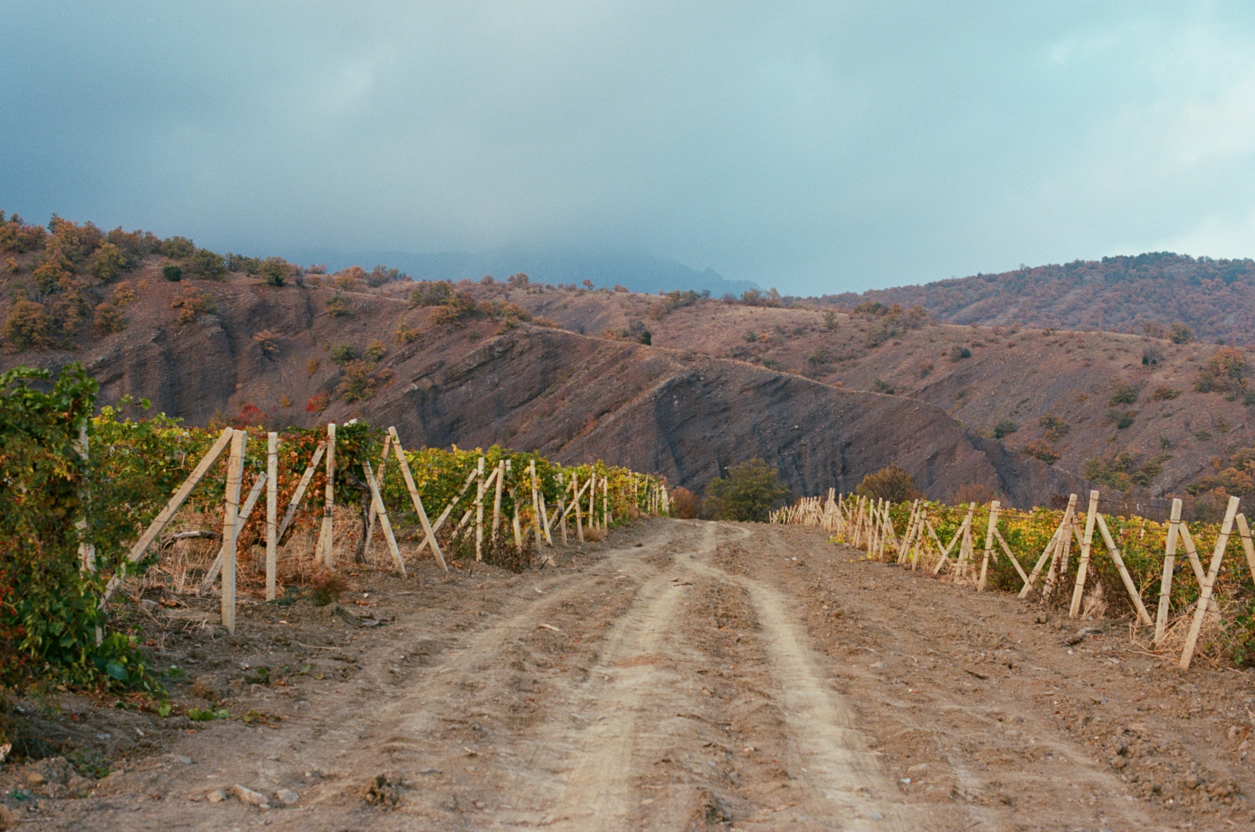 Wherever you will go // ukraine, crimea II. EVER EXPOSED