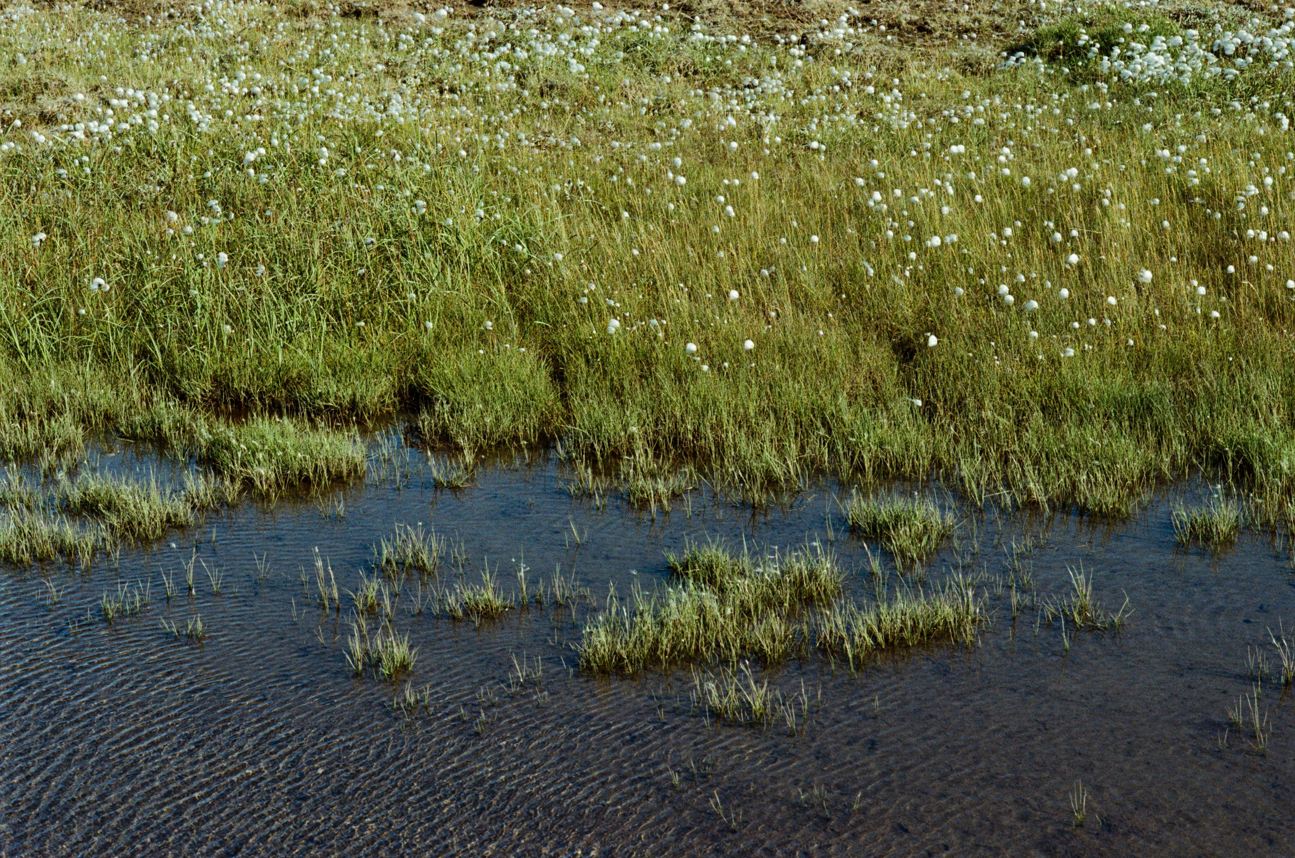 I of the storm // iceland, f347. EVER EXPOSED