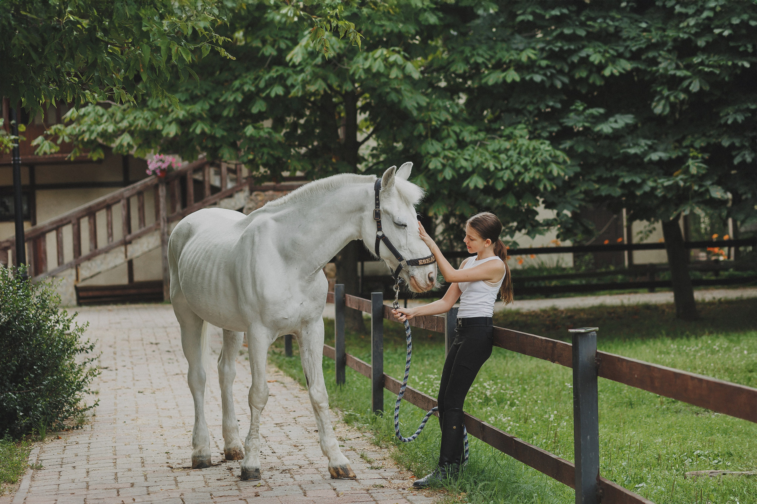 Фотосессия с конем. Фотограф в Москве и Люберцах Анна Ушакова