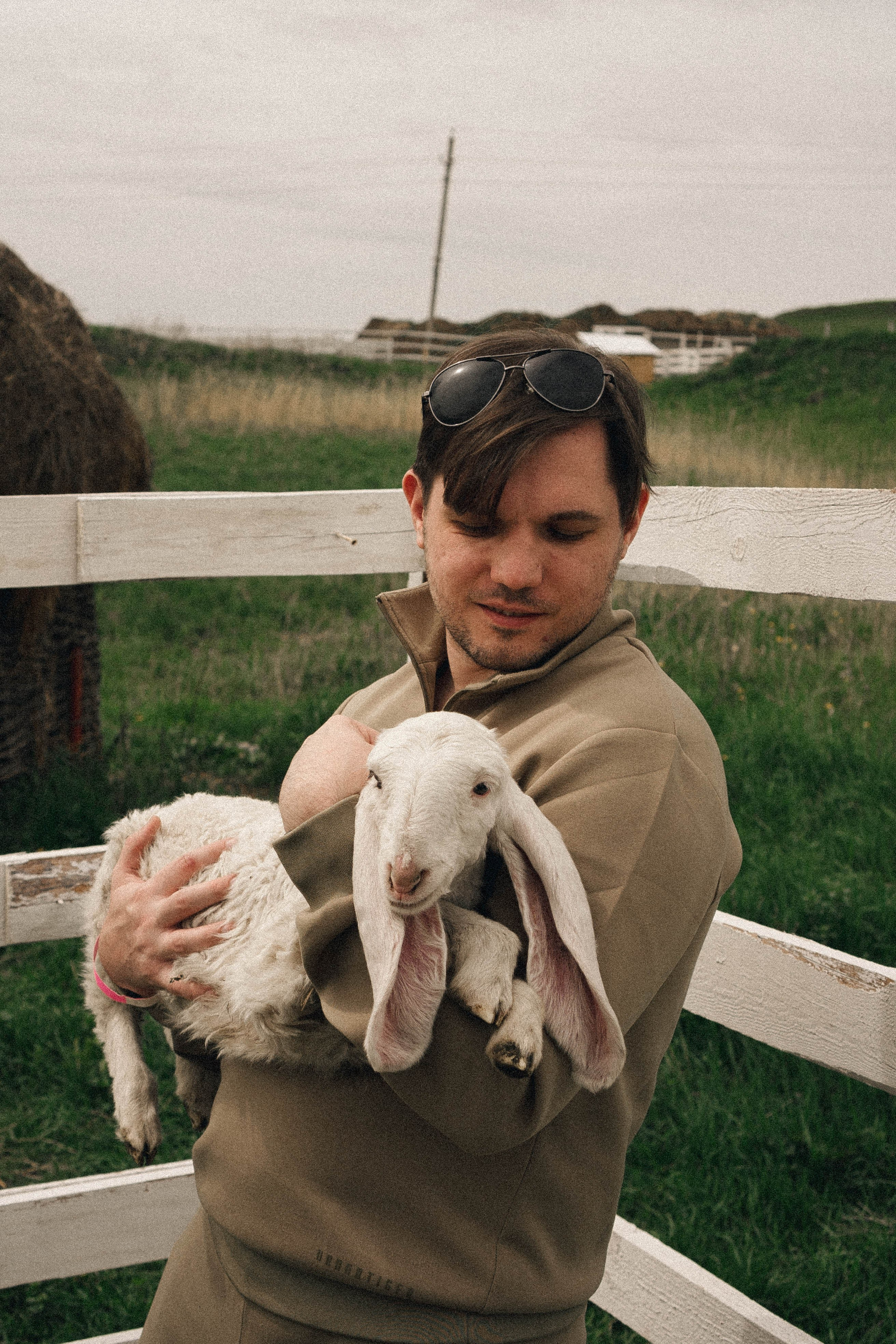 Ферма Альпак. Профессиональный фотограф, Санкт-Петербург — Виктория Богомолова