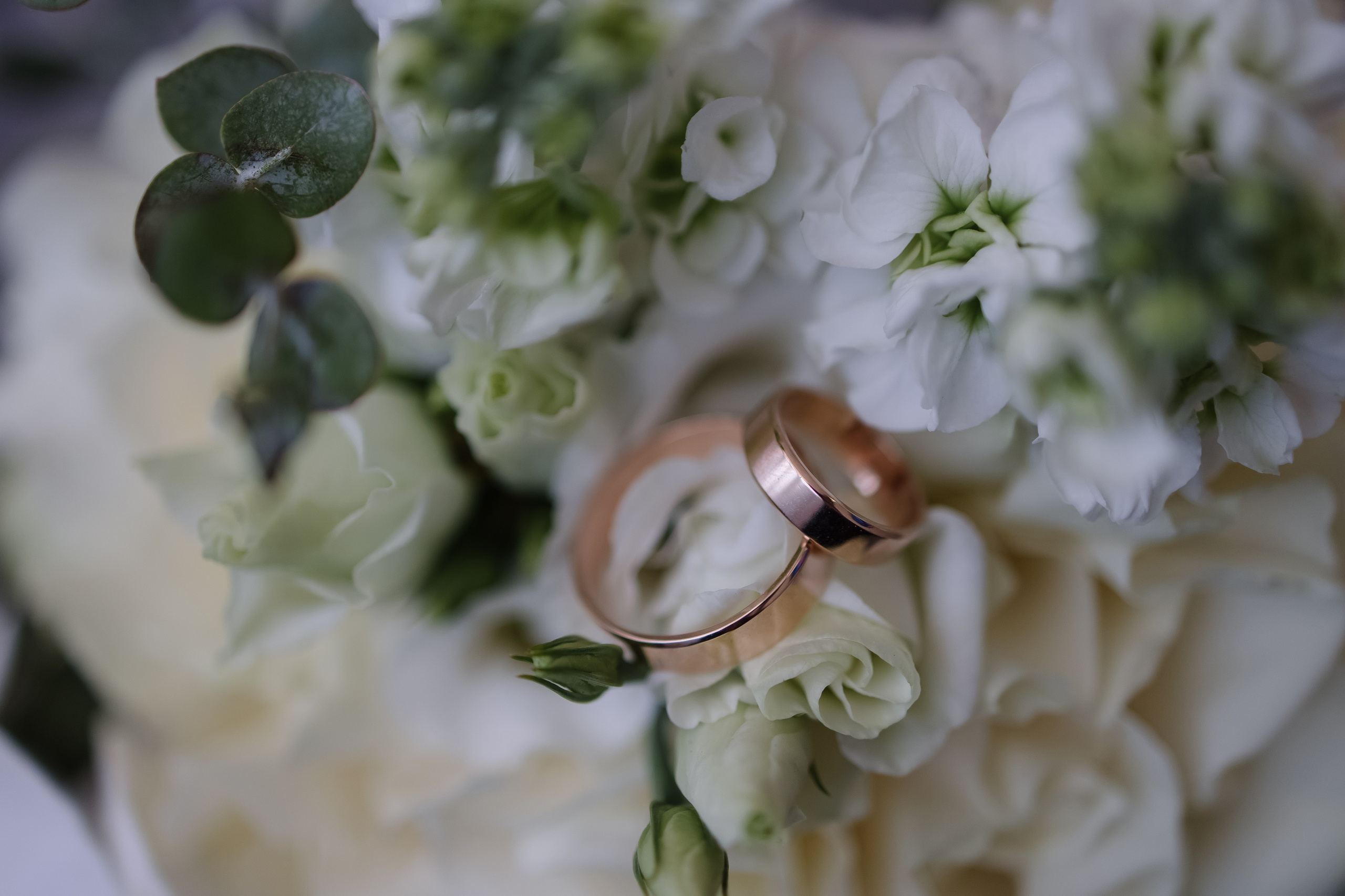 Evgeniy&Valeria. Свадебный фотограф