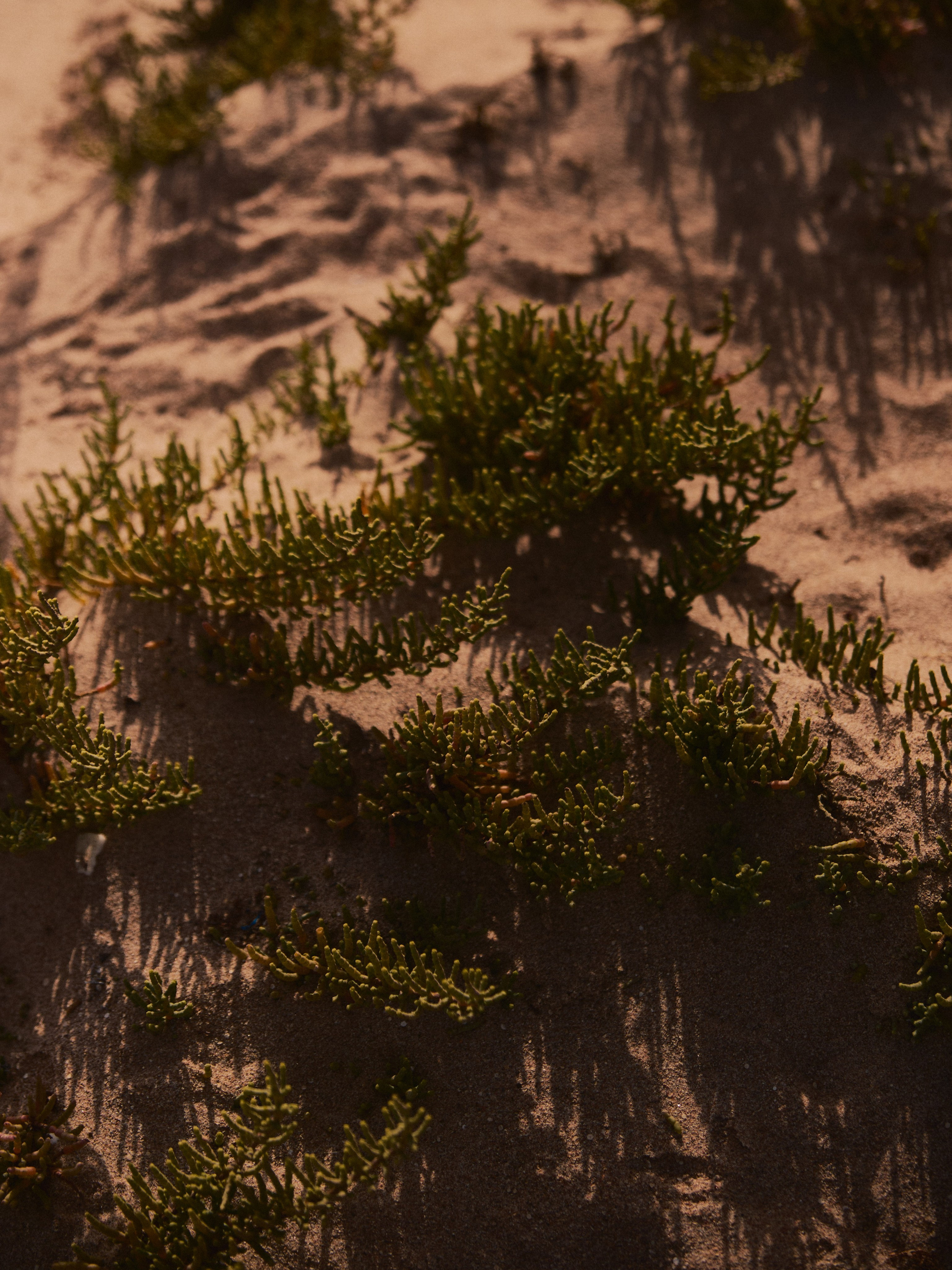 Природа. Jorgis Talè — photographer, kind person, teacher of arts and other mag