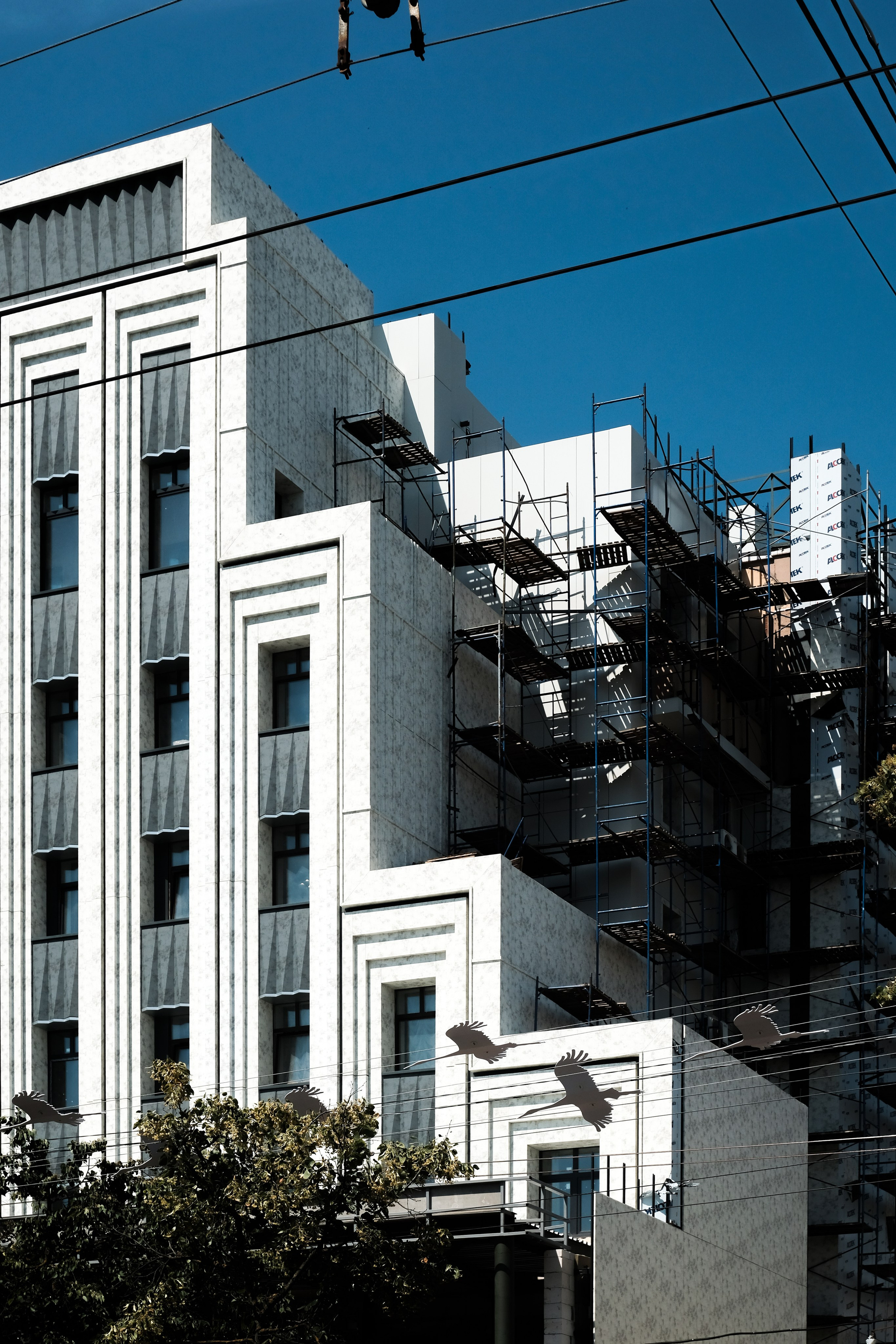 Цвет. Художественный фотограф в Калуге