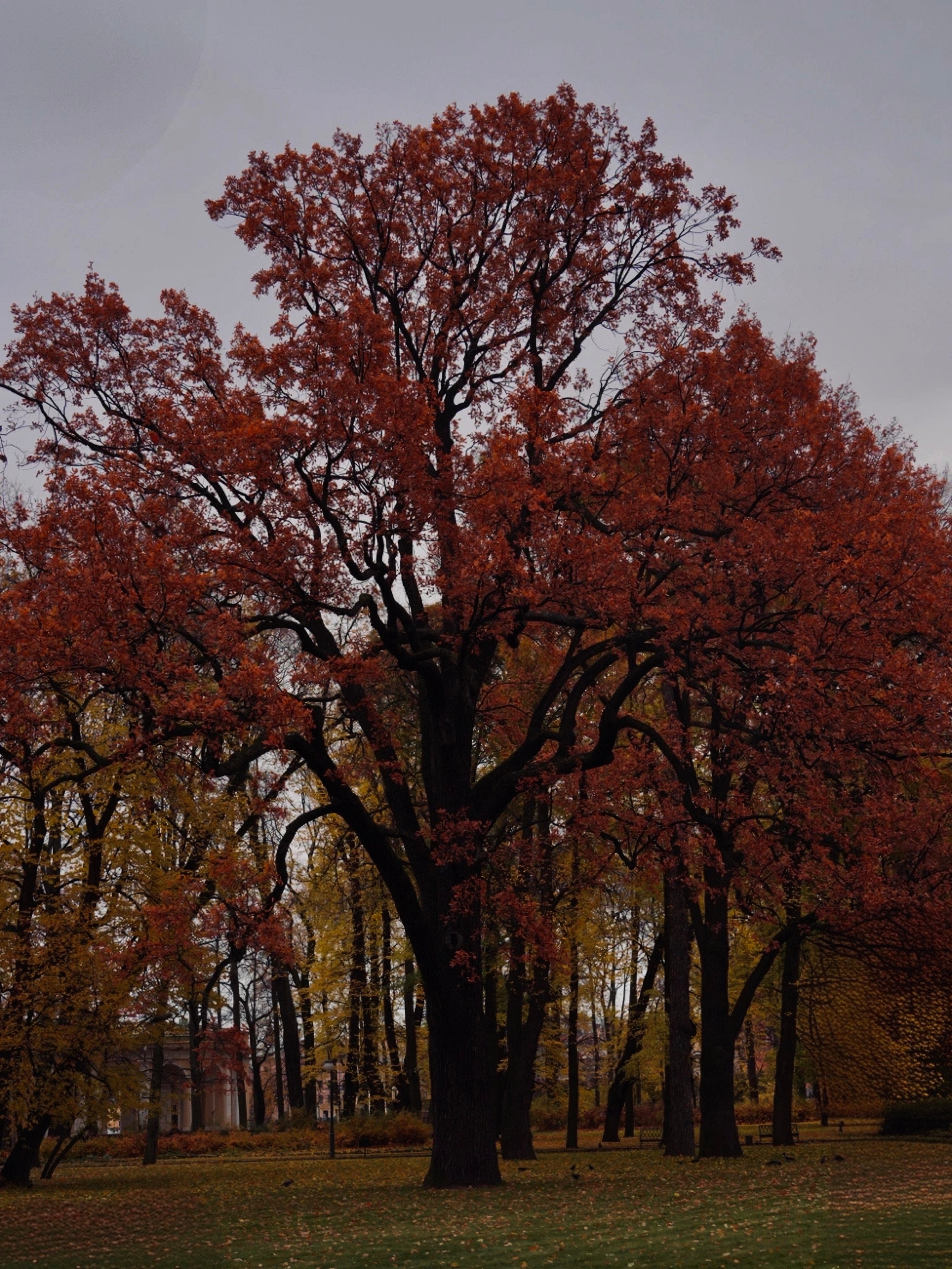Пространство в цвете. Событийный фотограф в Москве Юлия Папиянц