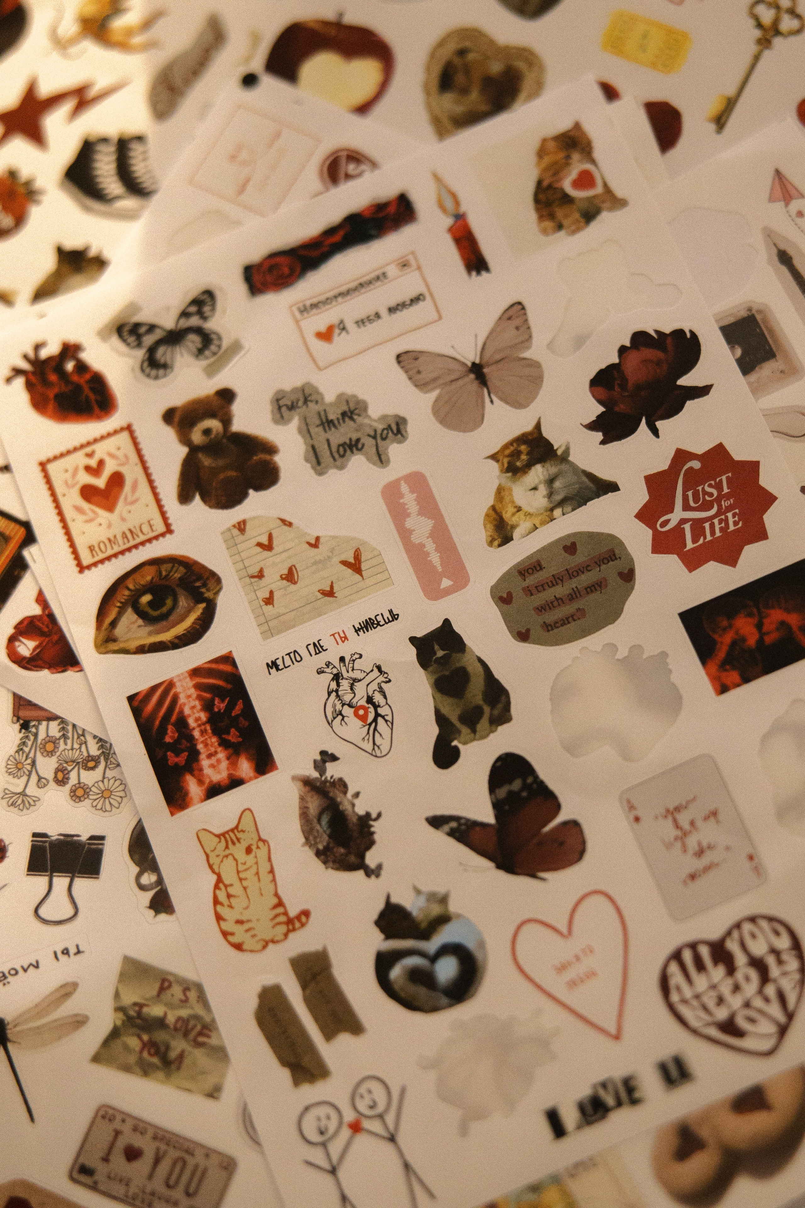 Сердца на погонах. Свадебный и семейный фотограф Мария Князева в Санкт-Петербурге