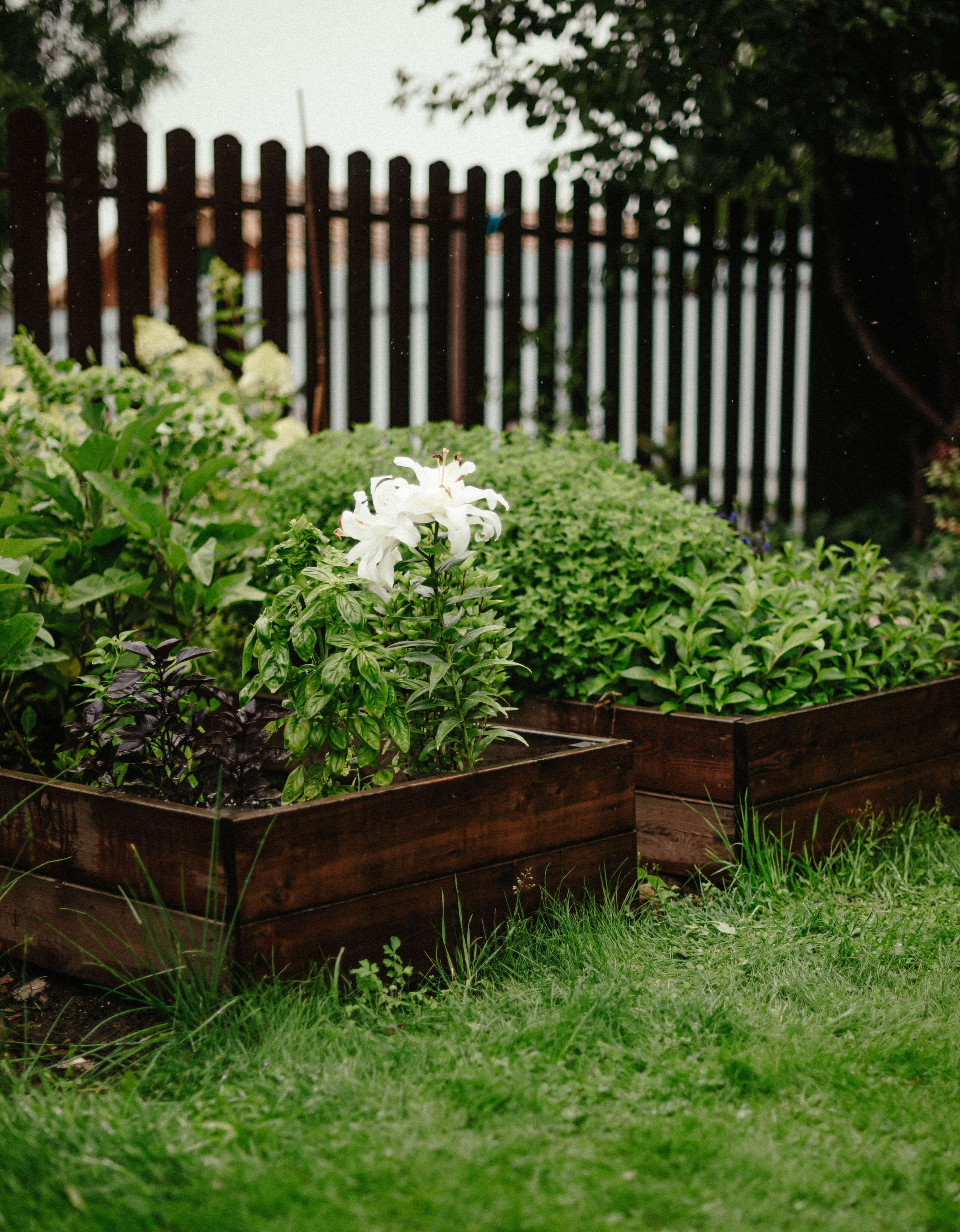 Лесное царство Оксаны. Свадебный и семейный фотограф в Новосибирске, Санкт-Петербурге, Москве