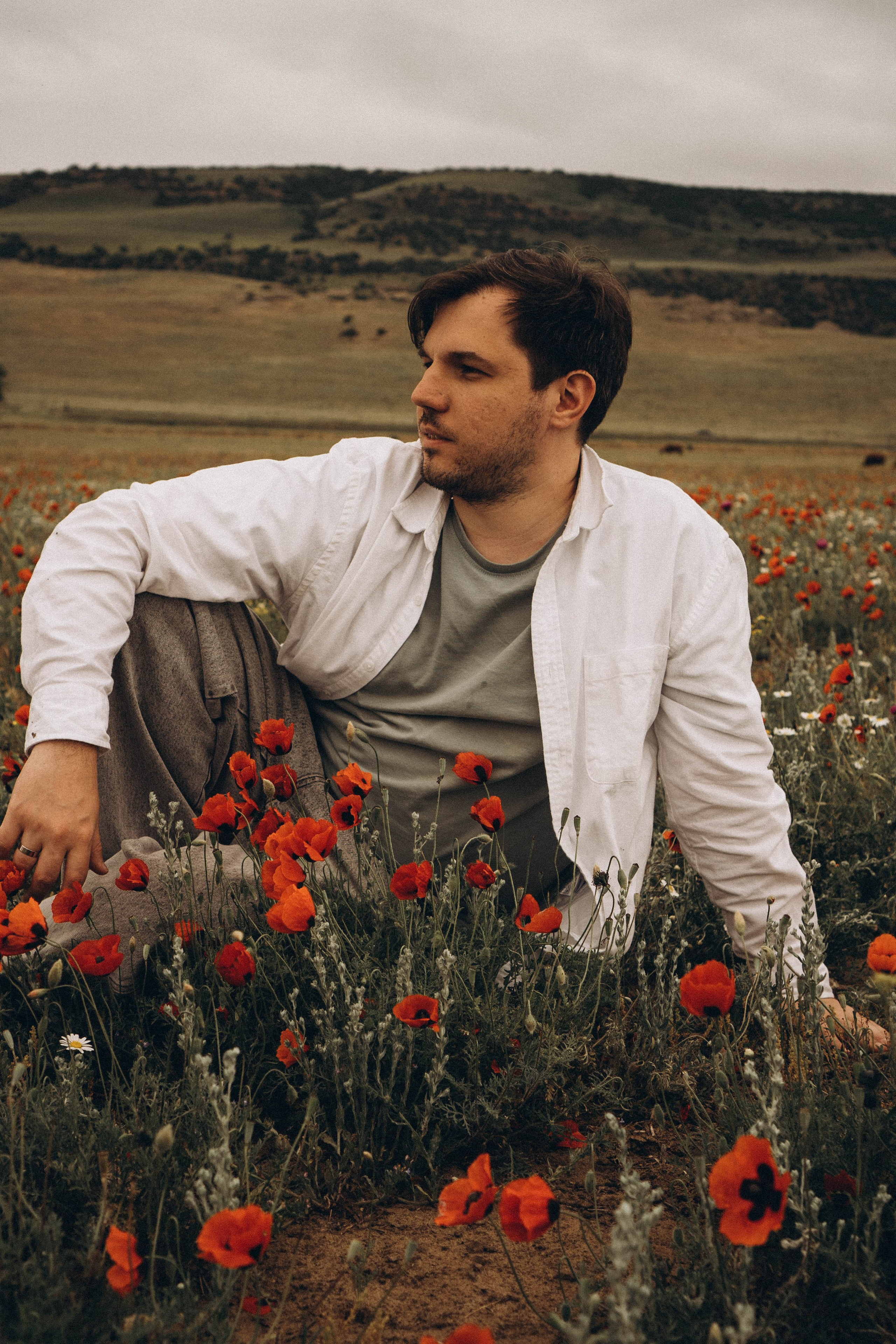 Маки. Профессиональный фотограф, Санкт-Петербург — Виктория Богомолова