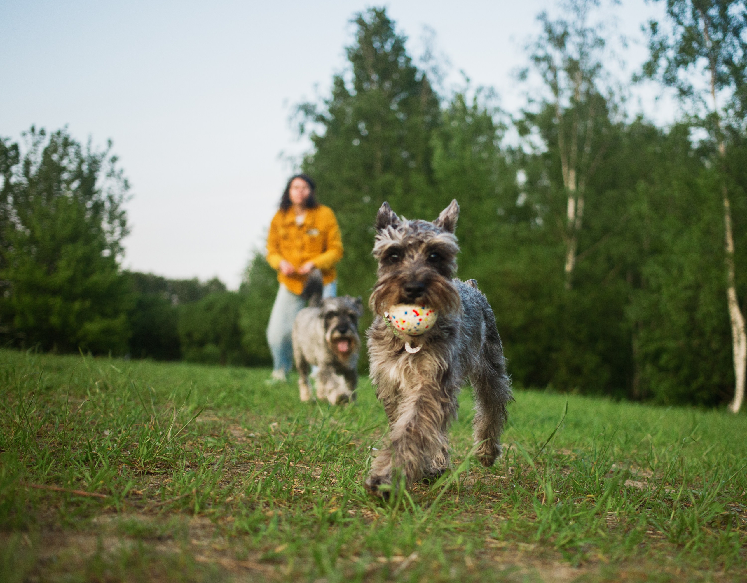Ольга Ро и Иви. Портретный фотограф в Санкт-Петербурге Катя Протасевич