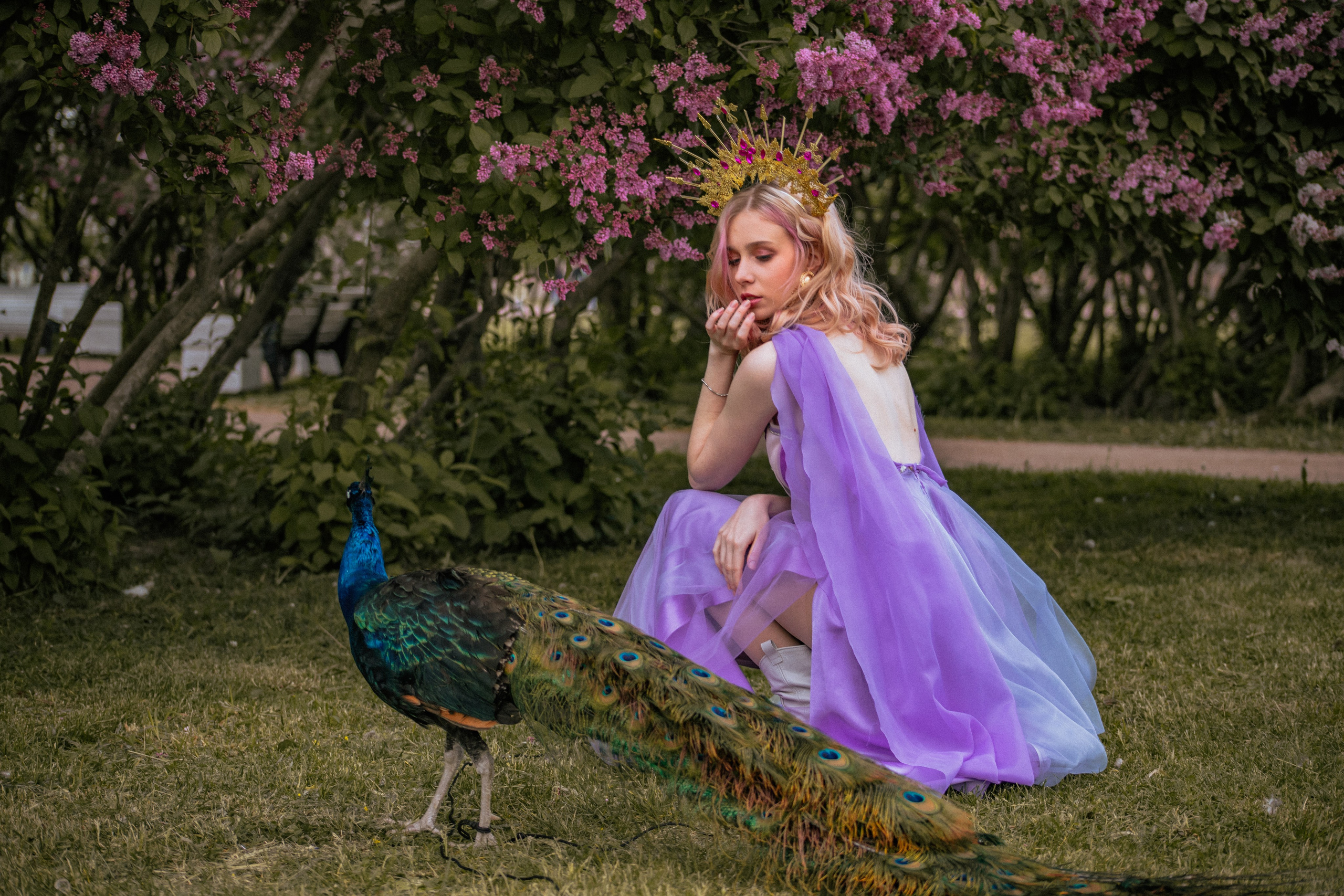 Павлин. Elena Sova — семейный и женский фотограф в Санкт-Петербурге